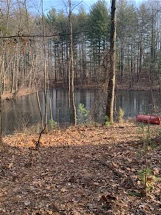 40 acres in Greene County, Indiana