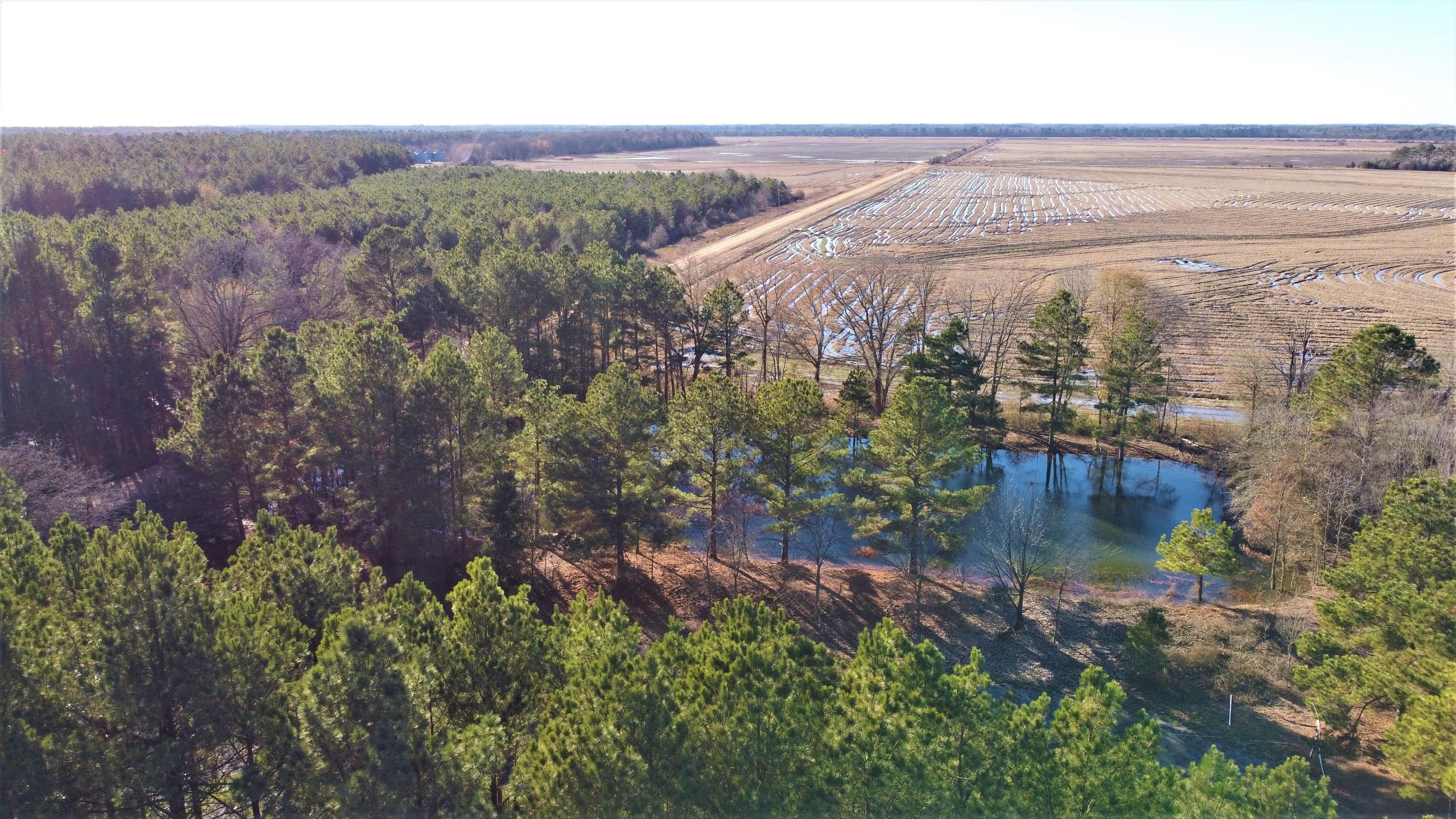 27.5 acres in Bowie County, Texas