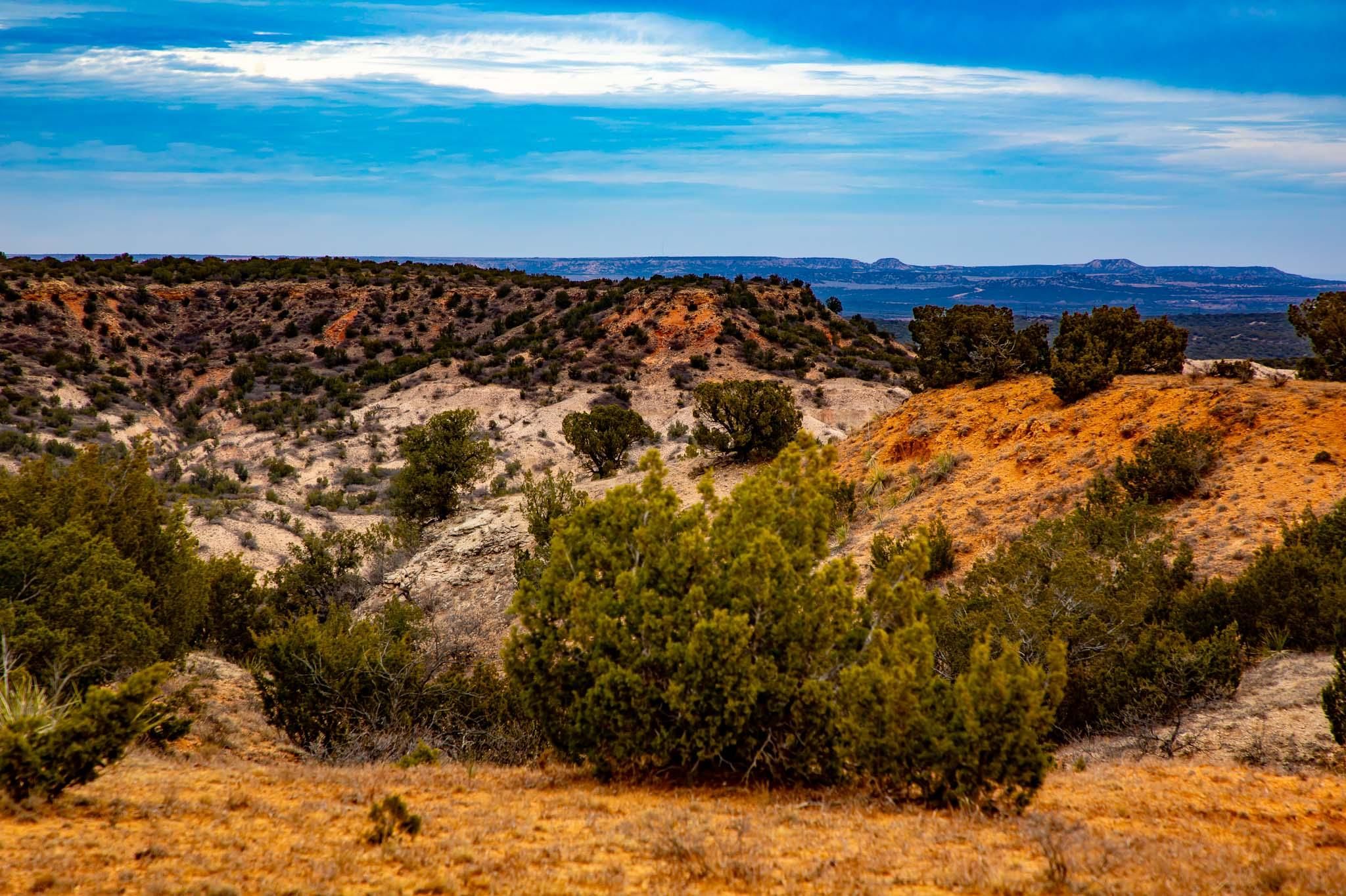 640 acres in Floyd County, Texas