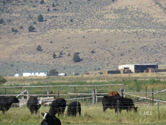 890 Acres In Modoc County California