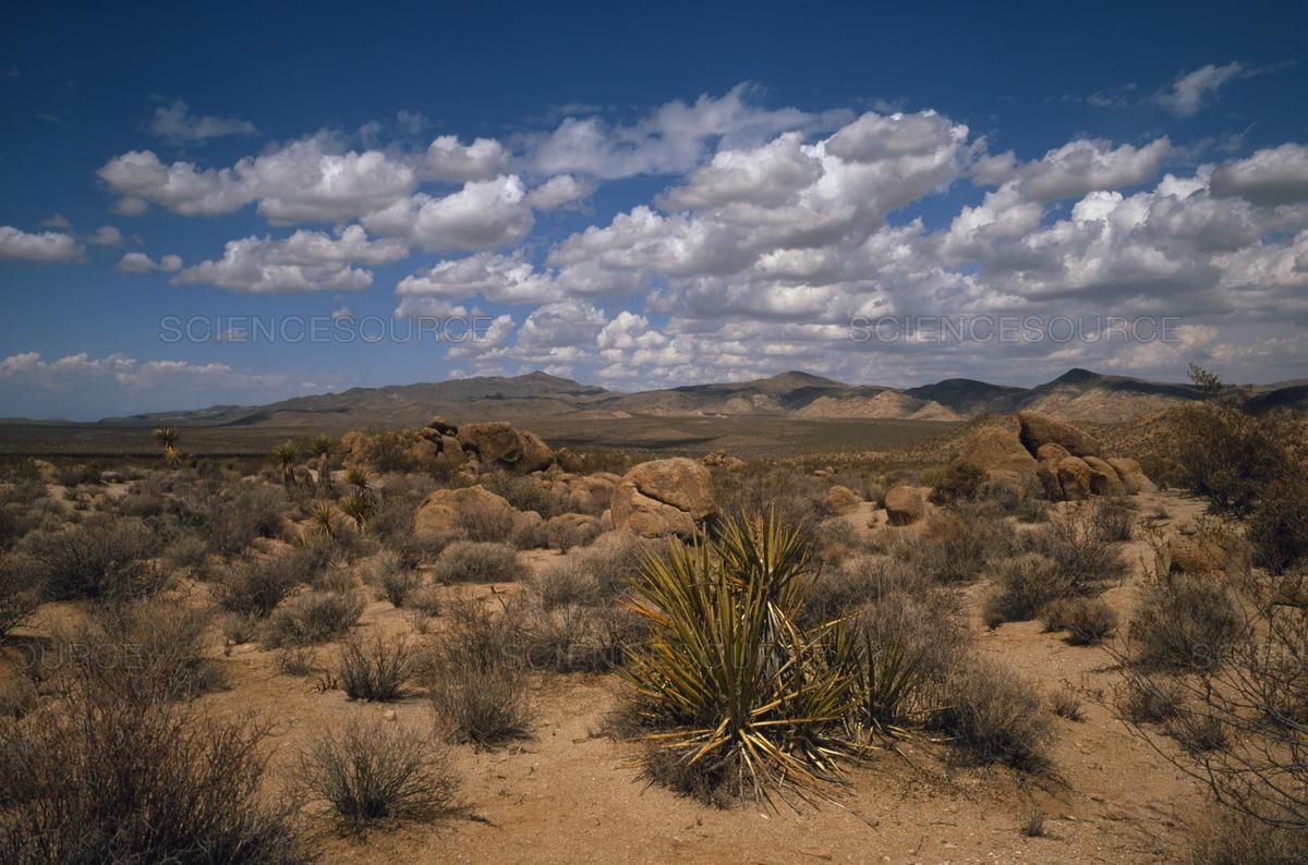 2 5 Acres In Kern County California