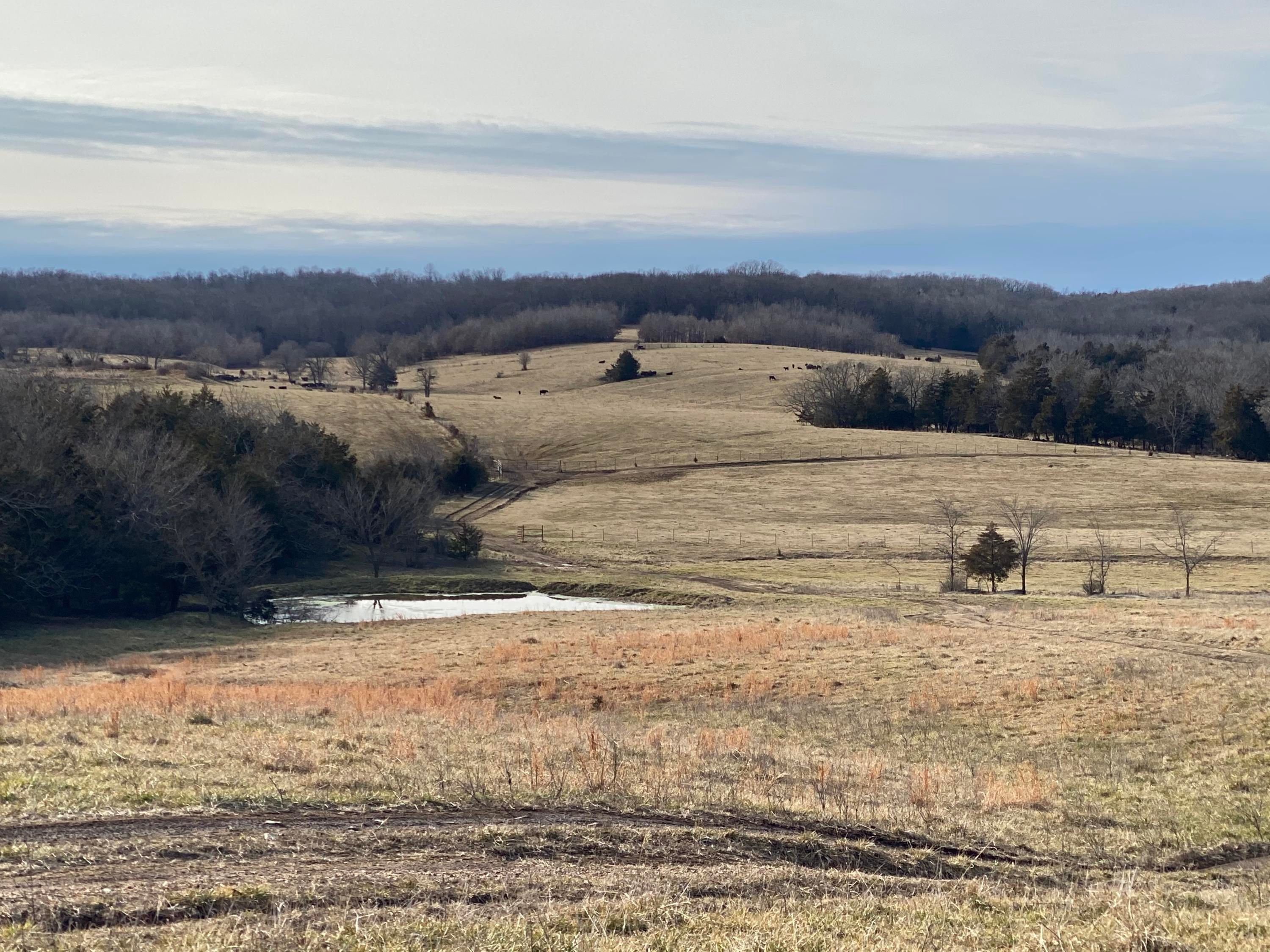280 acres in Wright County, Missouri