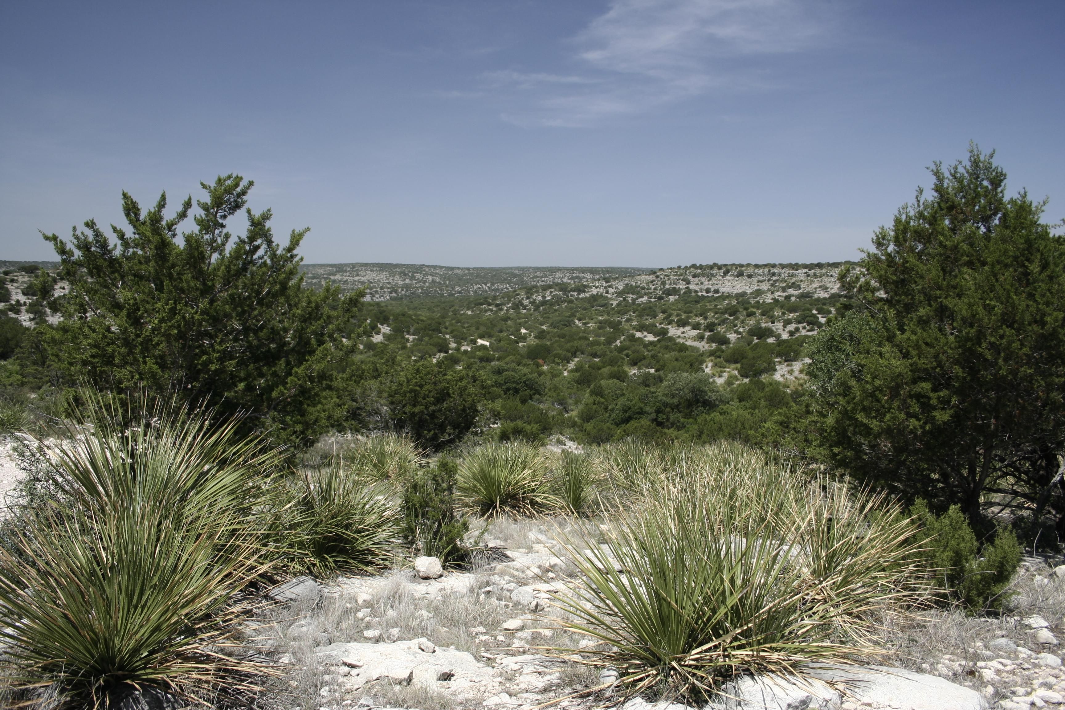 200 acres in Val Verde County, Texas