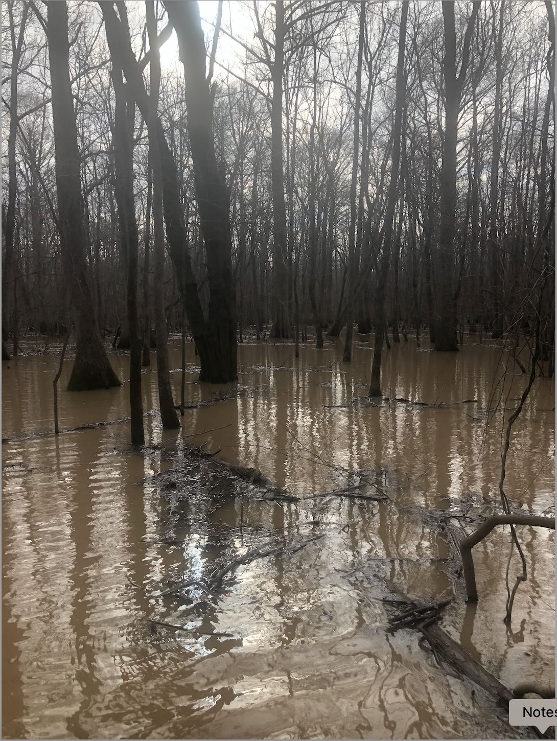 80 acres in Poinsett County, Arkansas