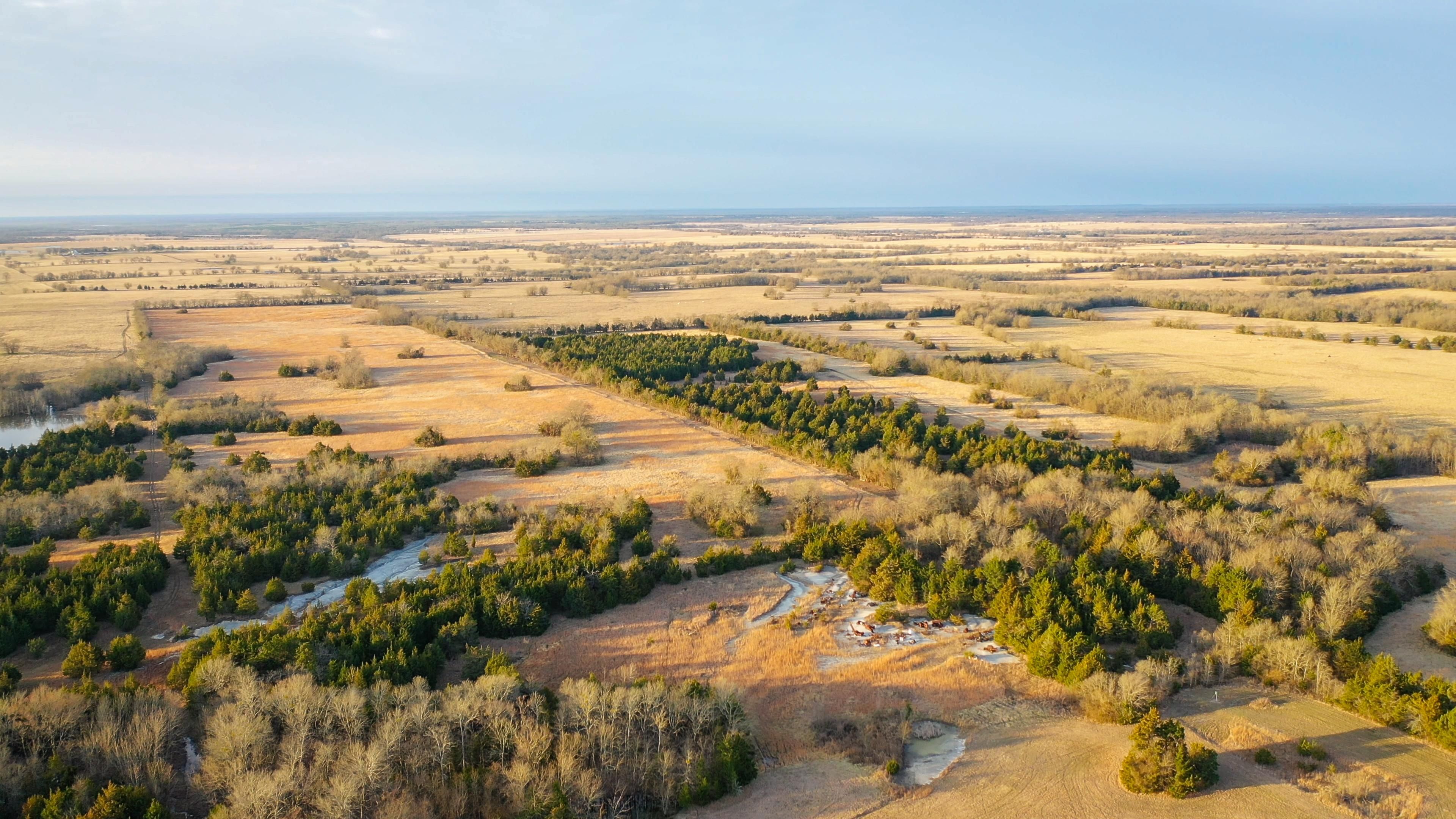 278 acres in Red River County, Texas