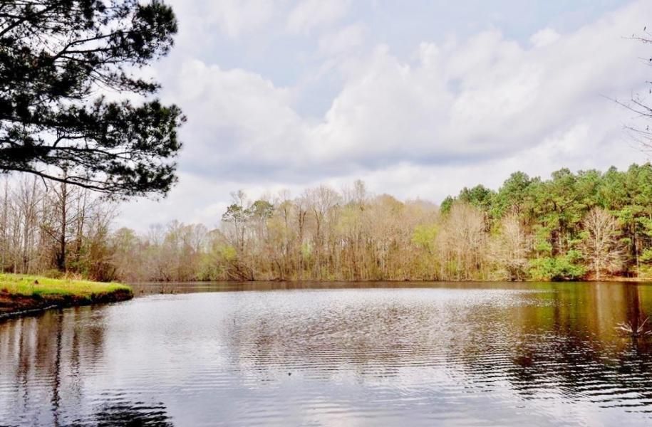 239 acres in Marion County, Mississippi