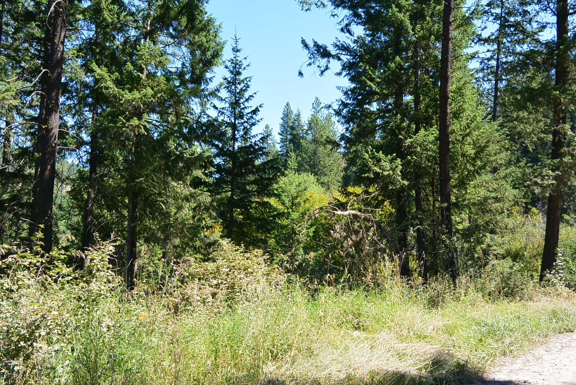 20 acres in Stevens County, Washington