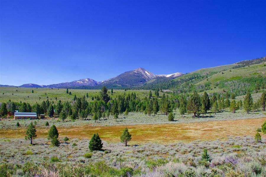 120 acres in Mono County, California