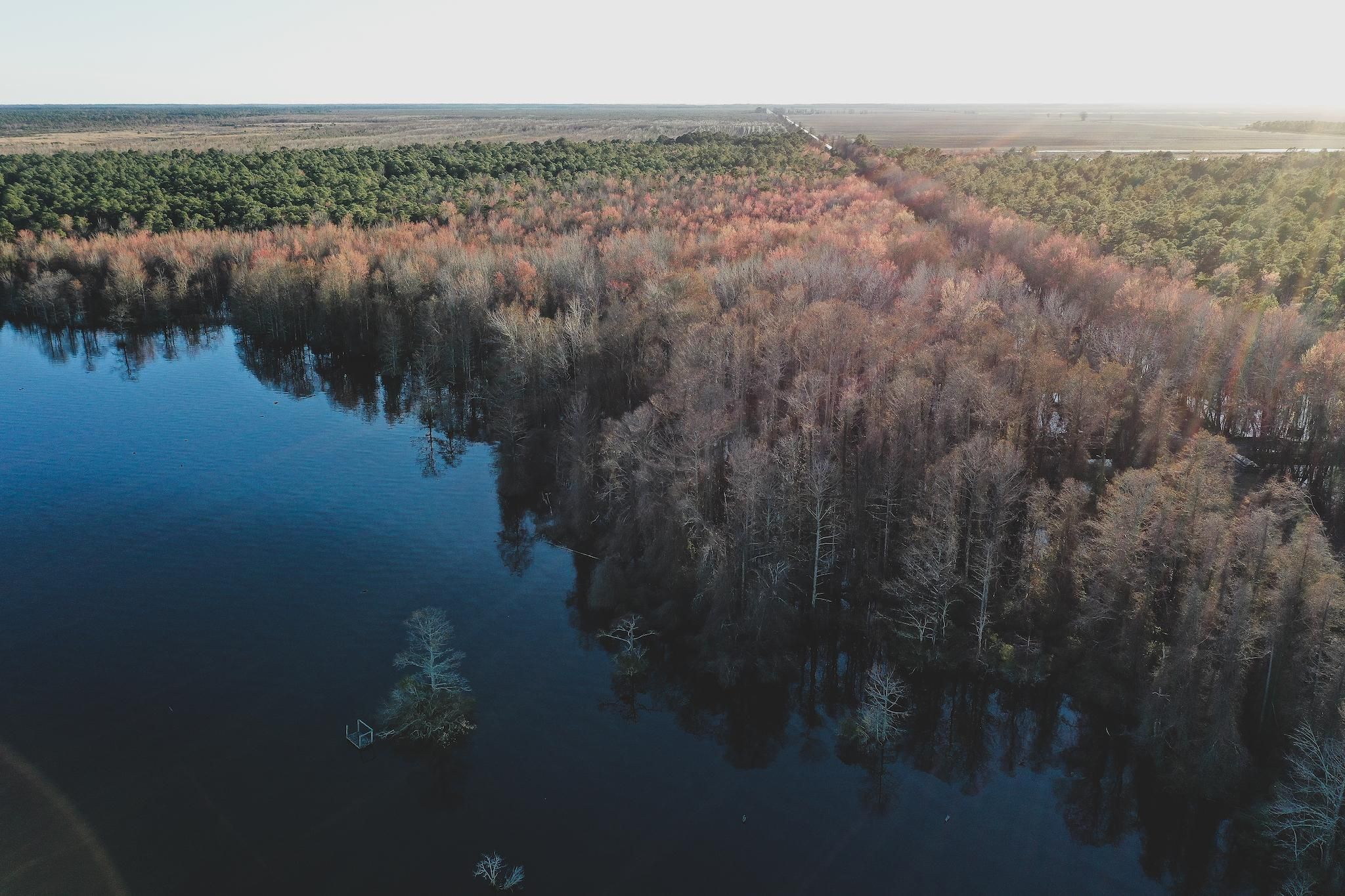 100 acres in Hyde County, North Carolina