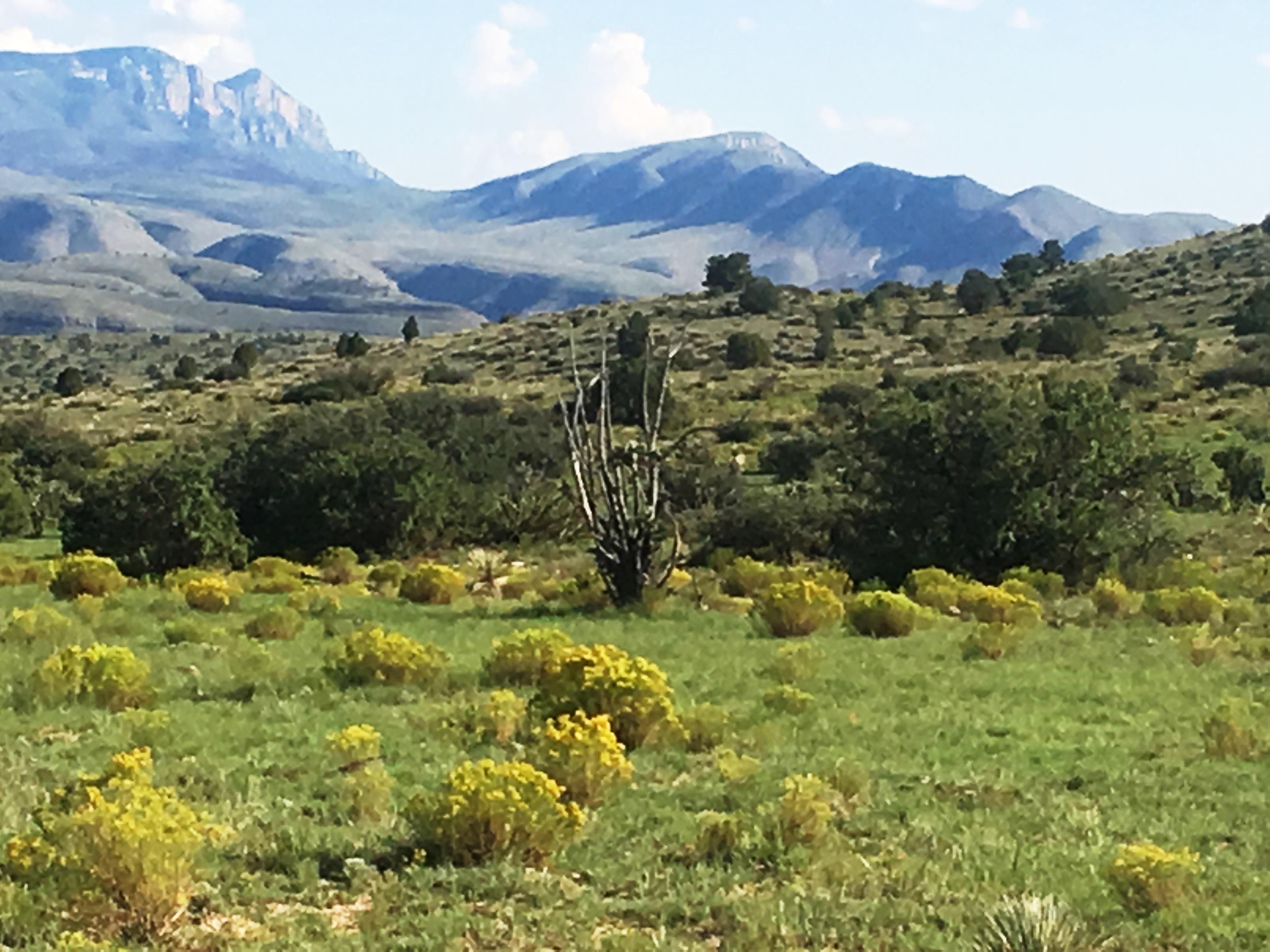 20,099 acres in Otero County, New Mexico