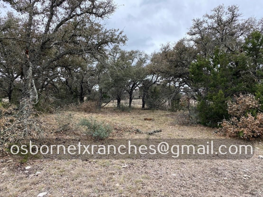 20 acres in Menard County, Texas