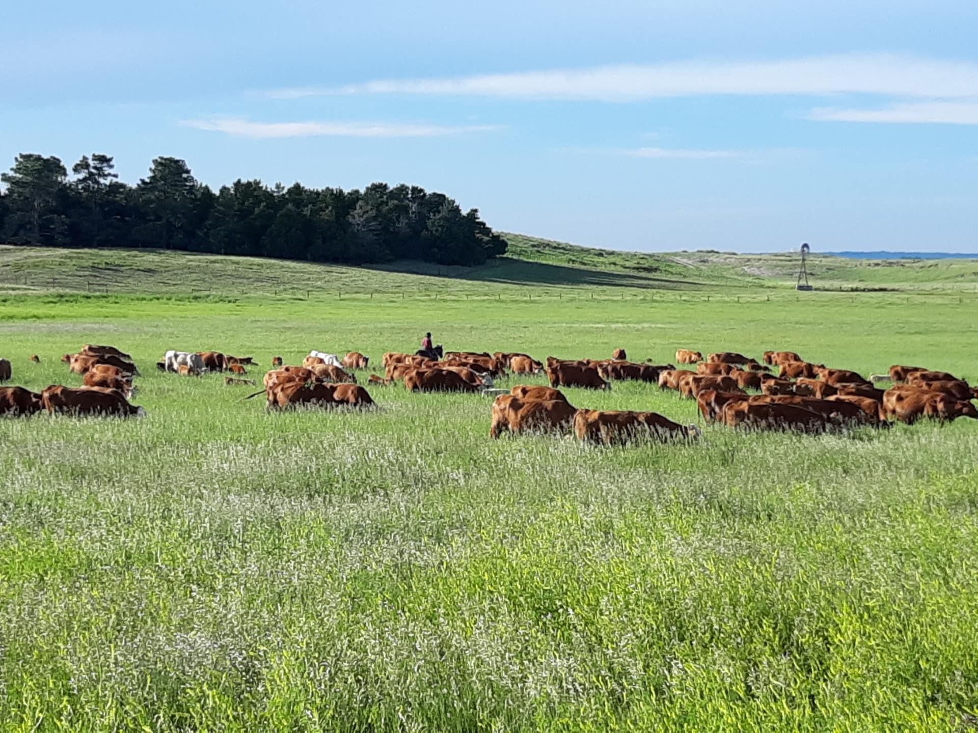 4,368 acres in County, South Dakota