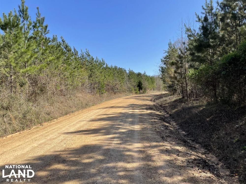 142 acres in Fayette County, Alabama