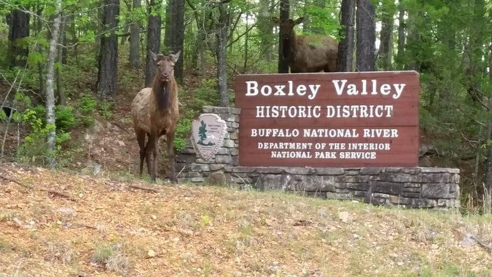 20 Acres In Newton County Arkansas Velg blant mange lignende scener. 20 acres in newton county arkansas