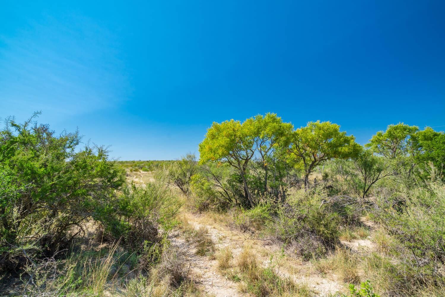 1,011 acres in Terrell County, Texas