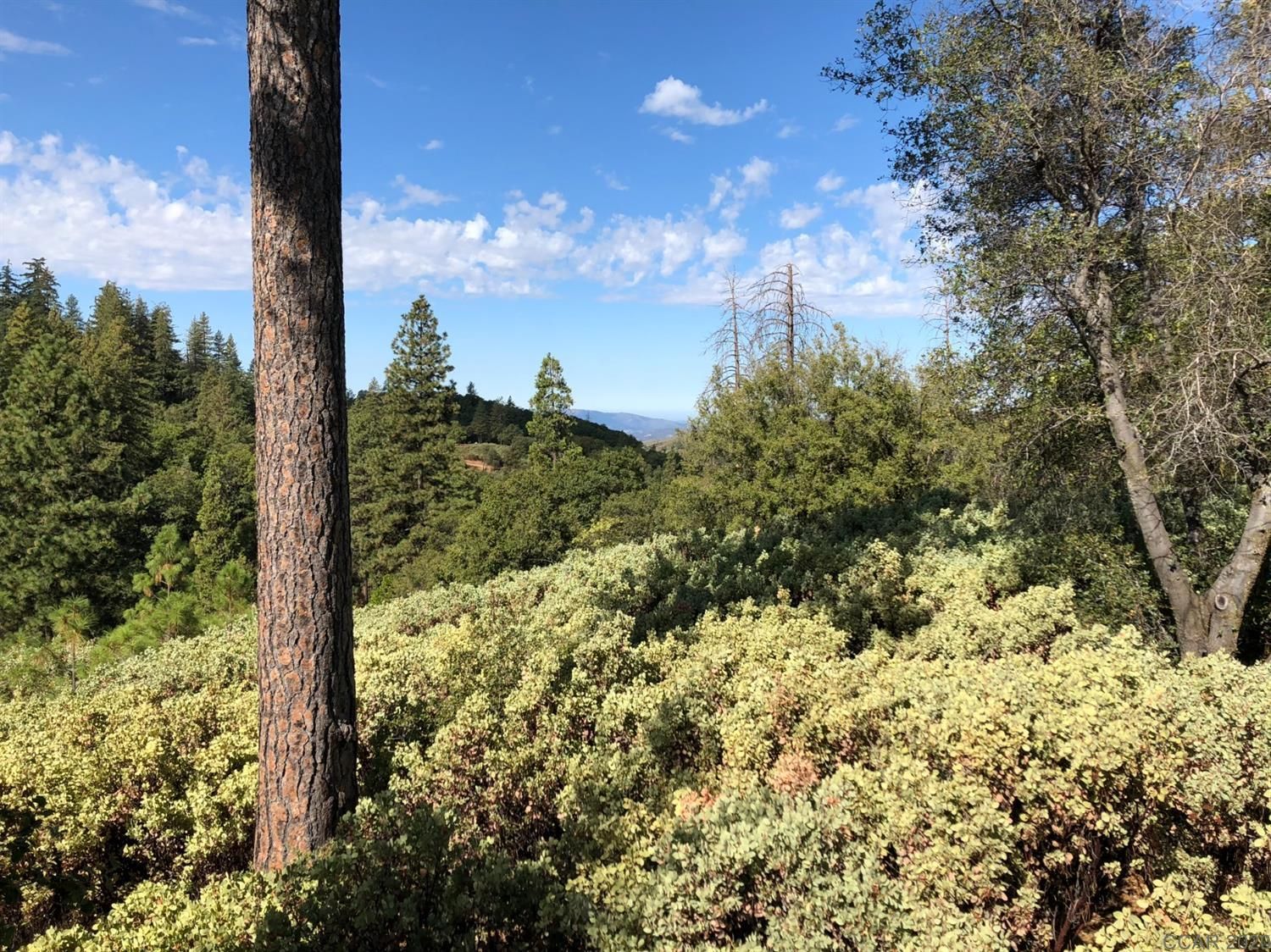 8.8 acres in Calaveras County, California