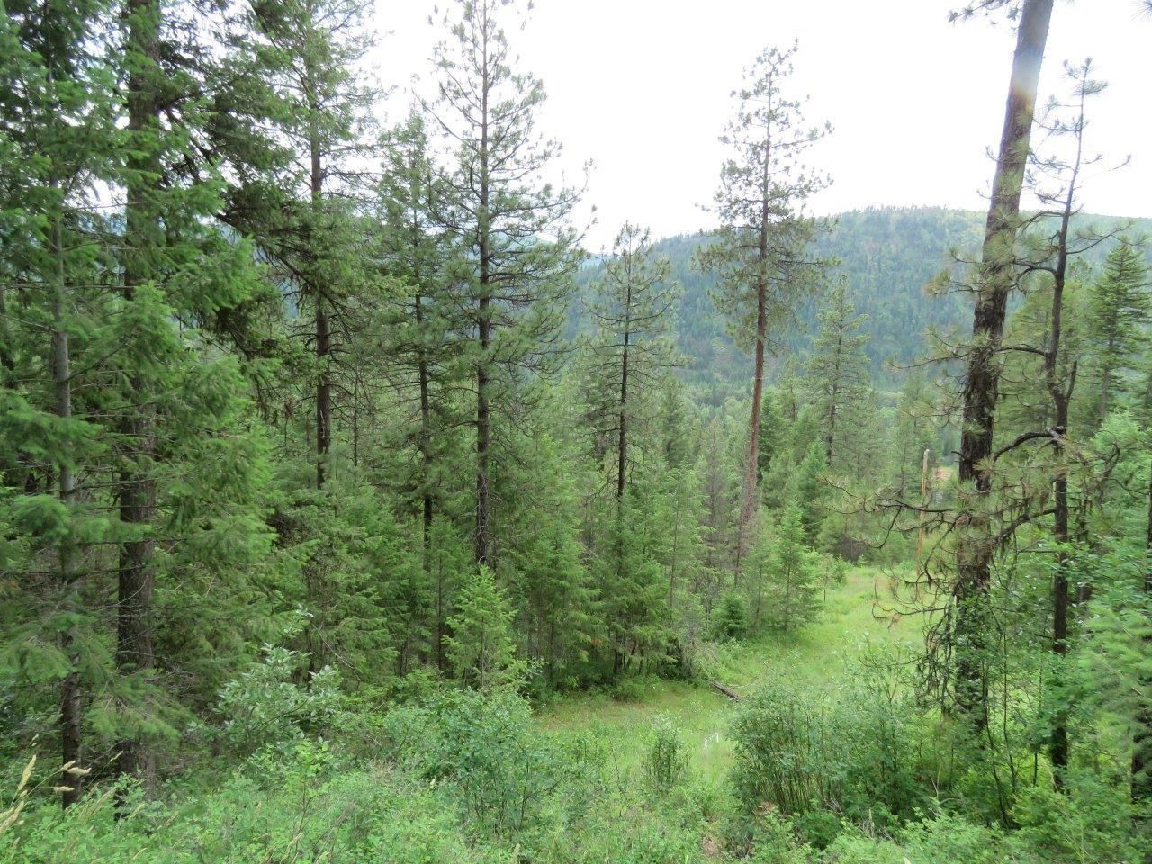 13.05 acres in Lincoln County, Montana