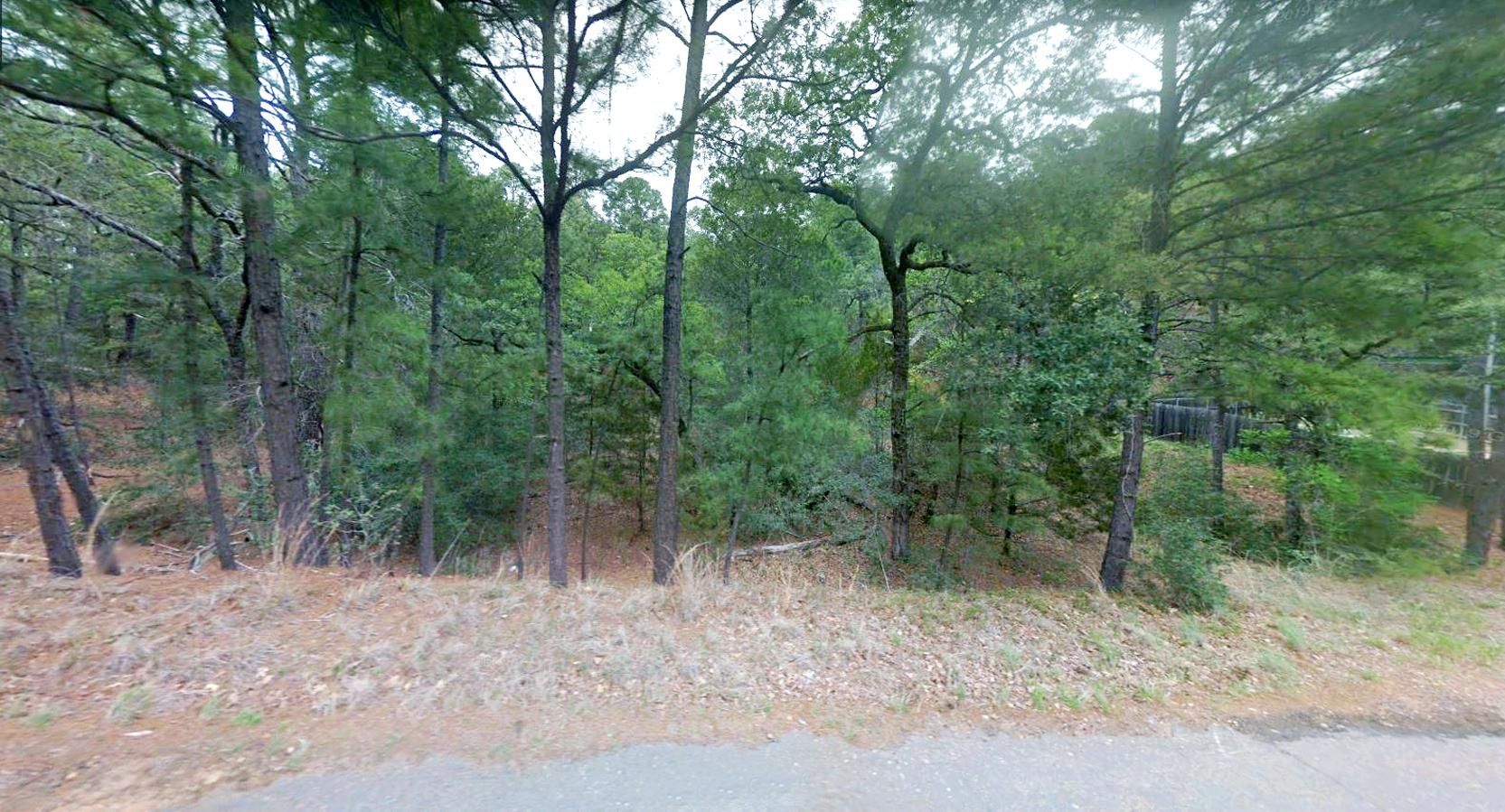 0.27 acres in Bastrop County, Texas