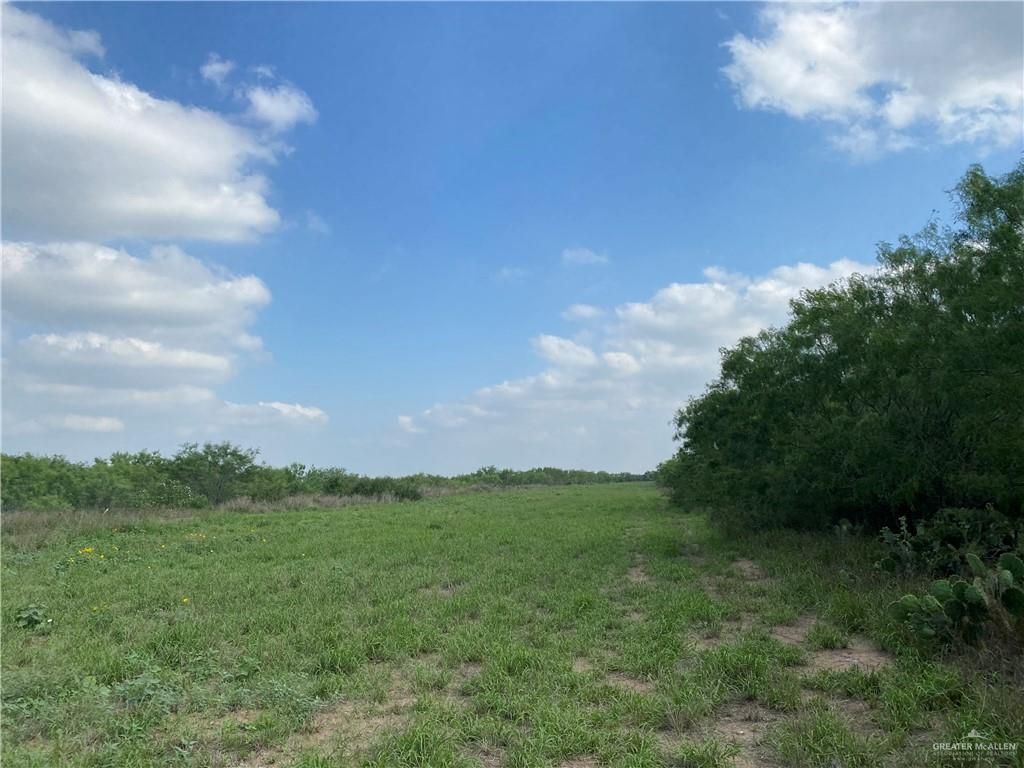 20 acres in Starr County, Texas