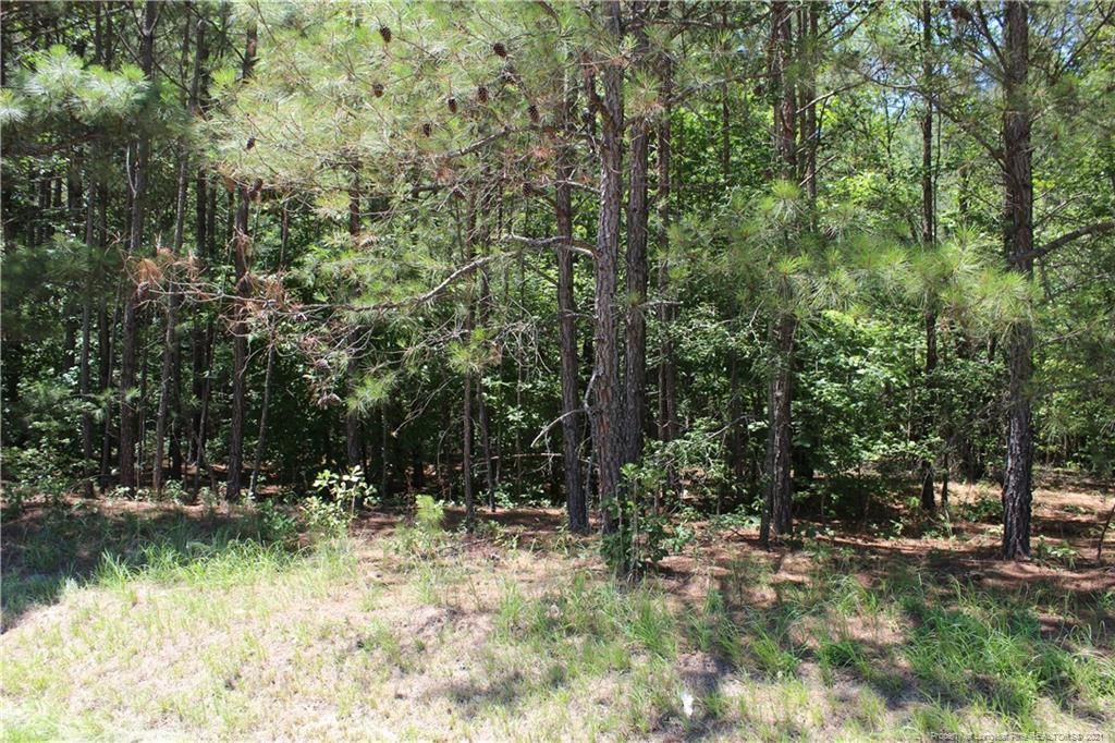 13.12 acres in Lee County, North Carolina