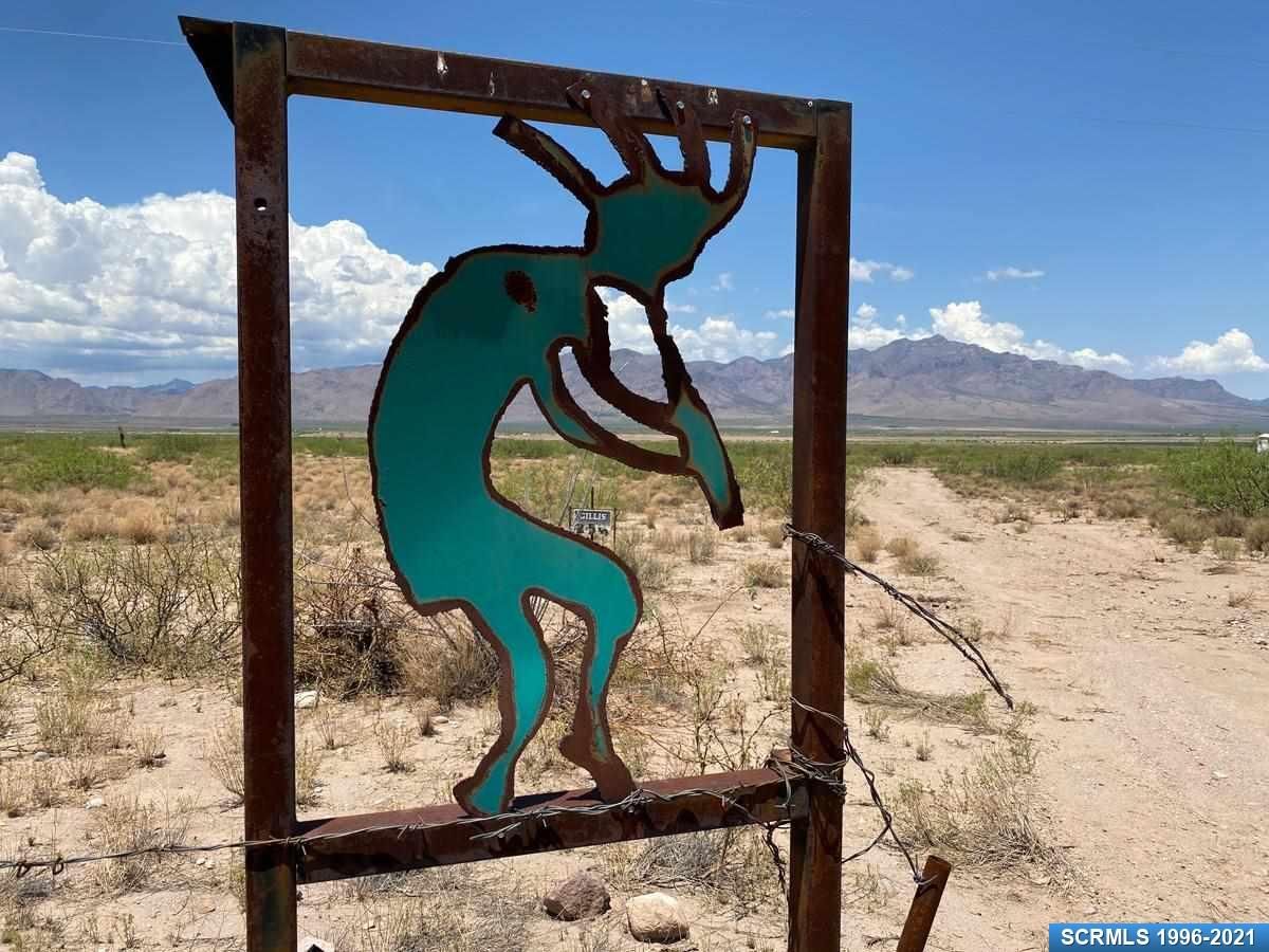 40 acres in Hidalgo County, New Mexico