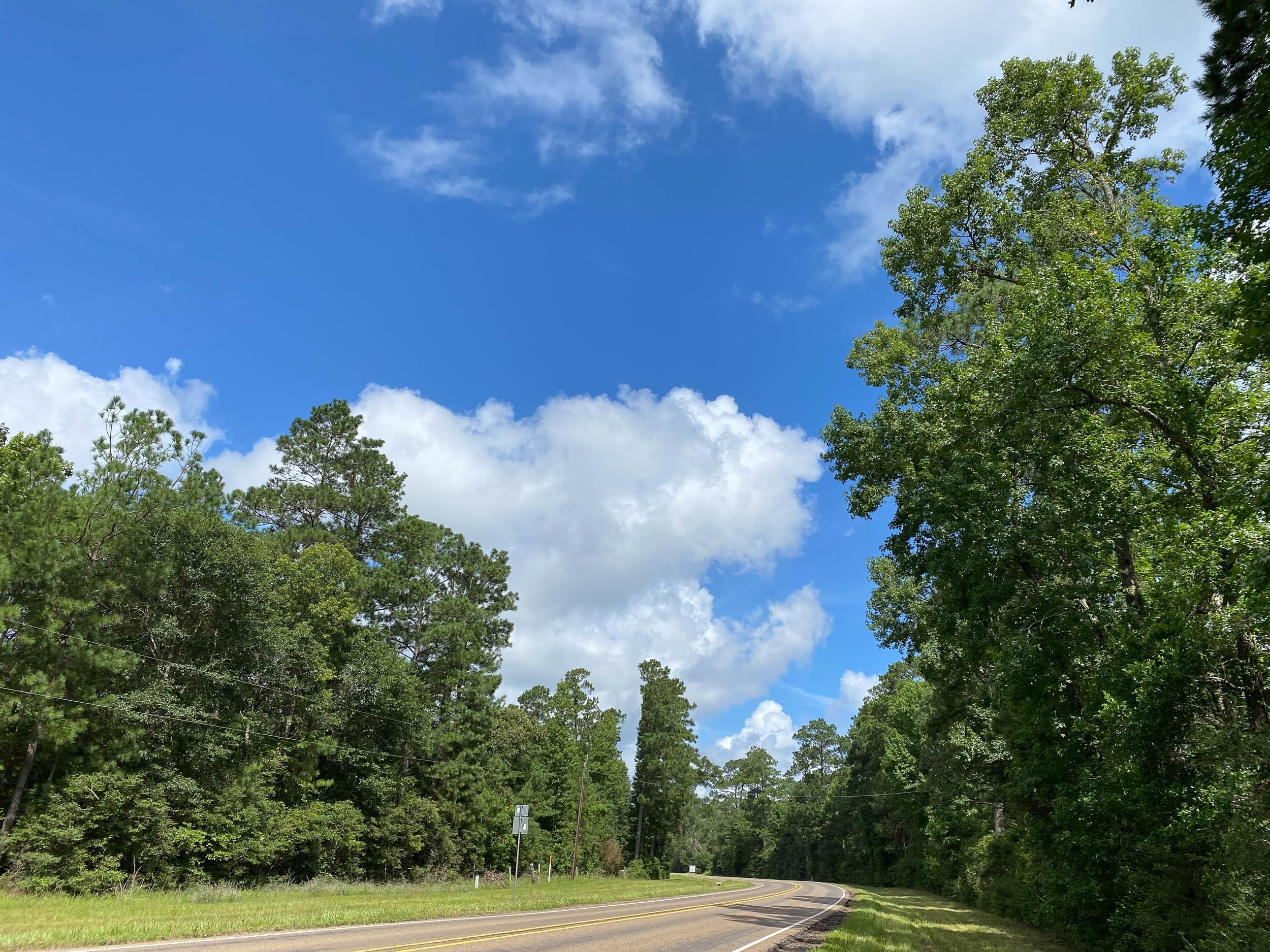 10 acres in San Jacinto County, Texas