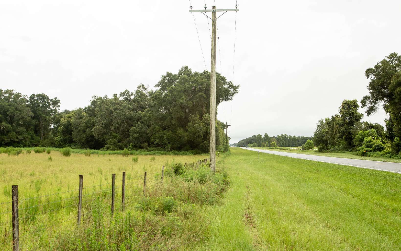 33 acres in Lafayette County, Florida