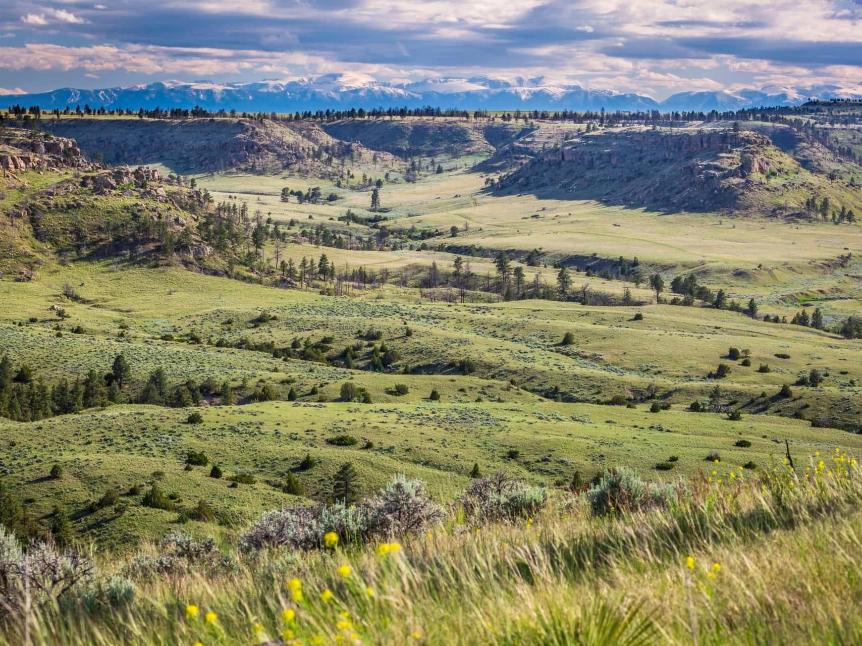 1,363 acres in Yellowstone County, Montana