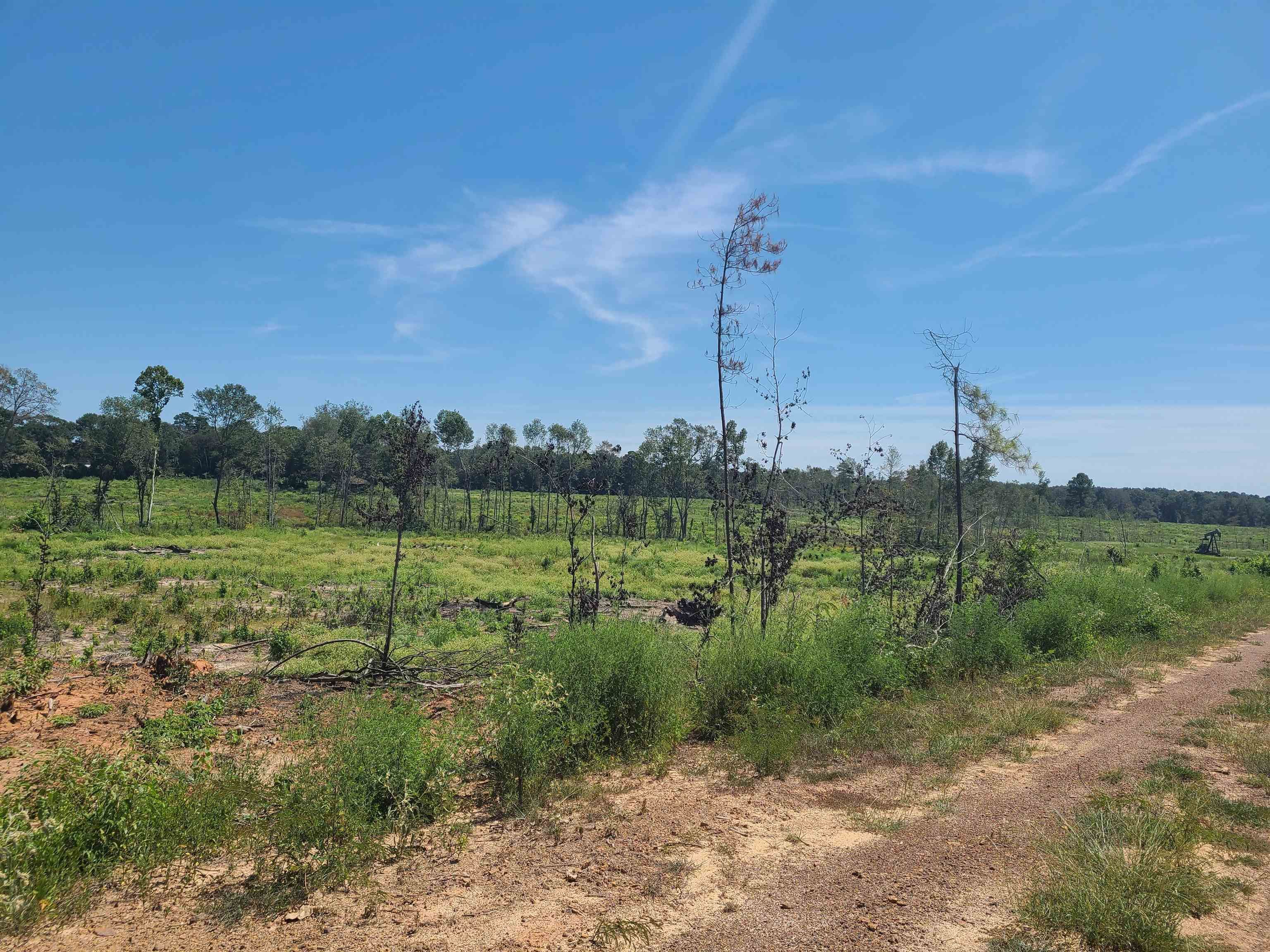 5 acres in Panola County, Texas