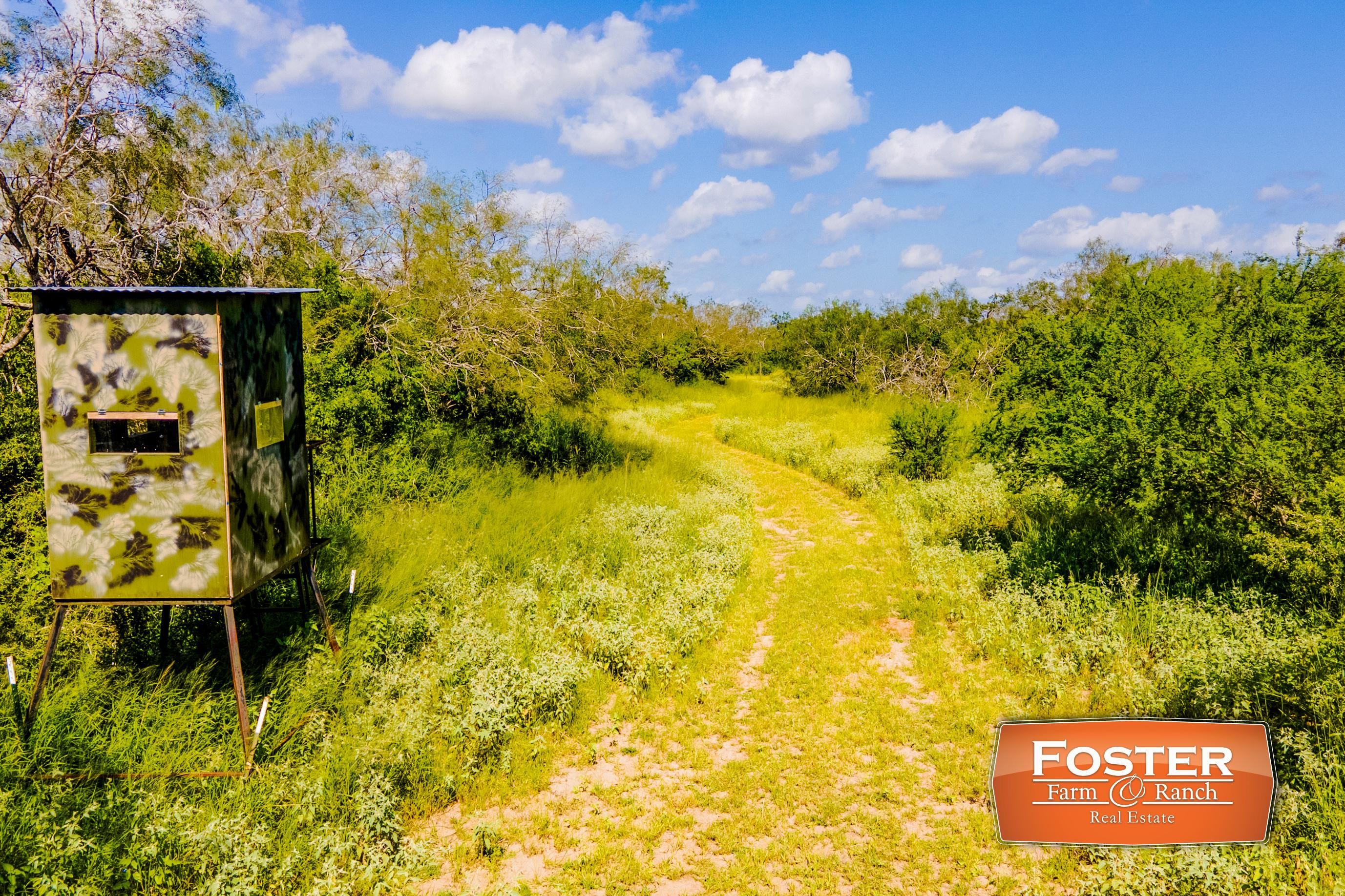 244 acres in Willacy County, Texas