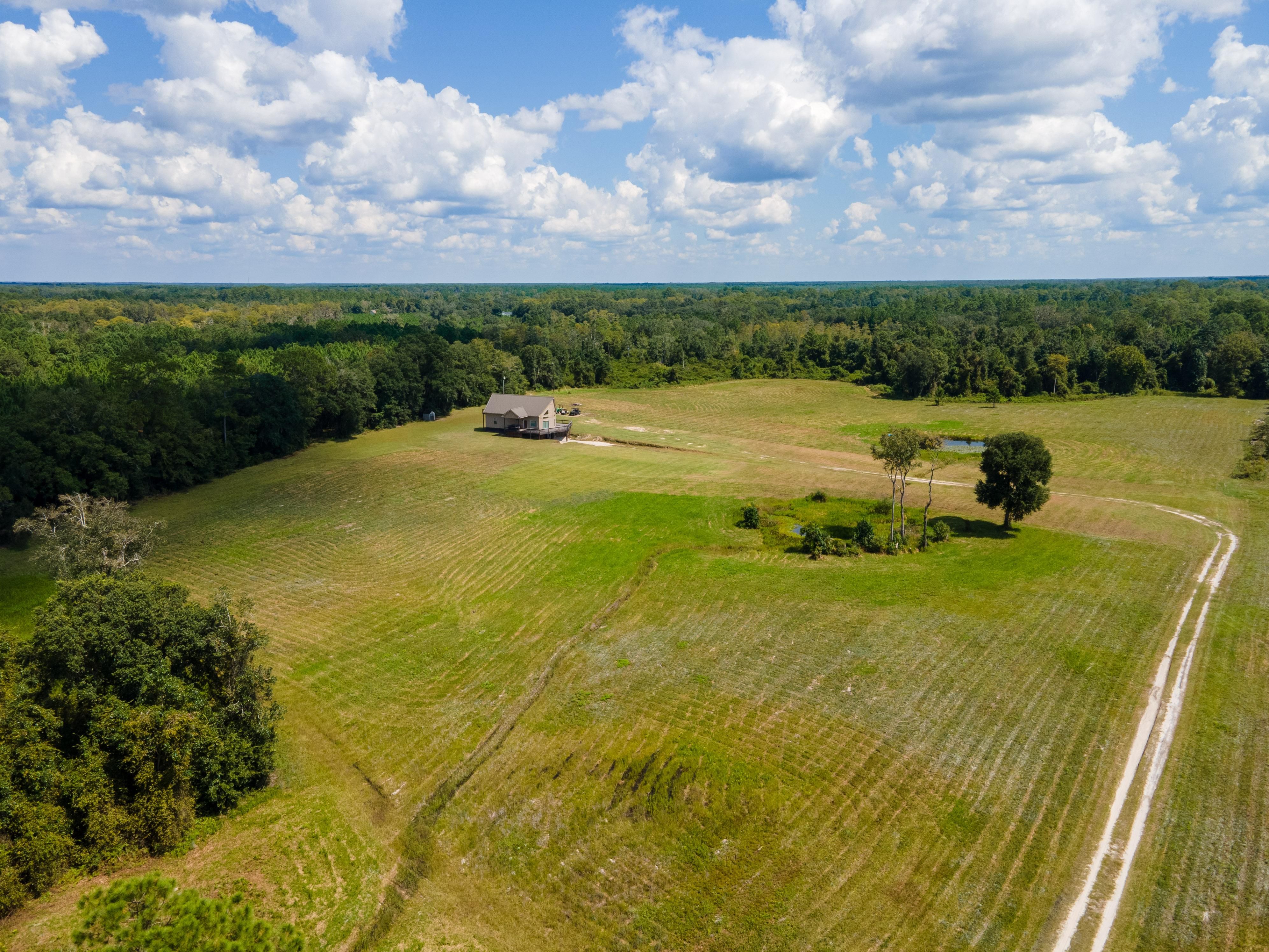 31 acres in Taylor County, Florida