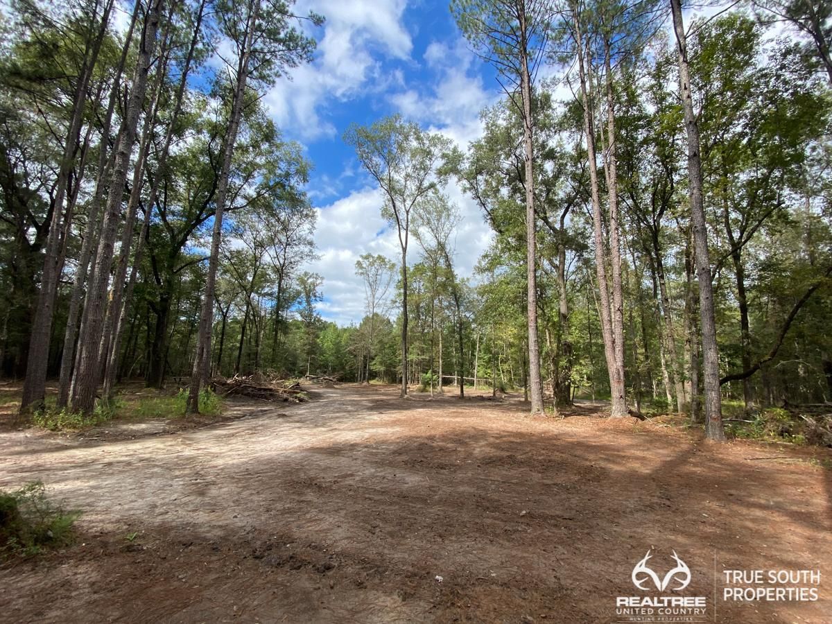 12 acres in Jasper County, South Carolina