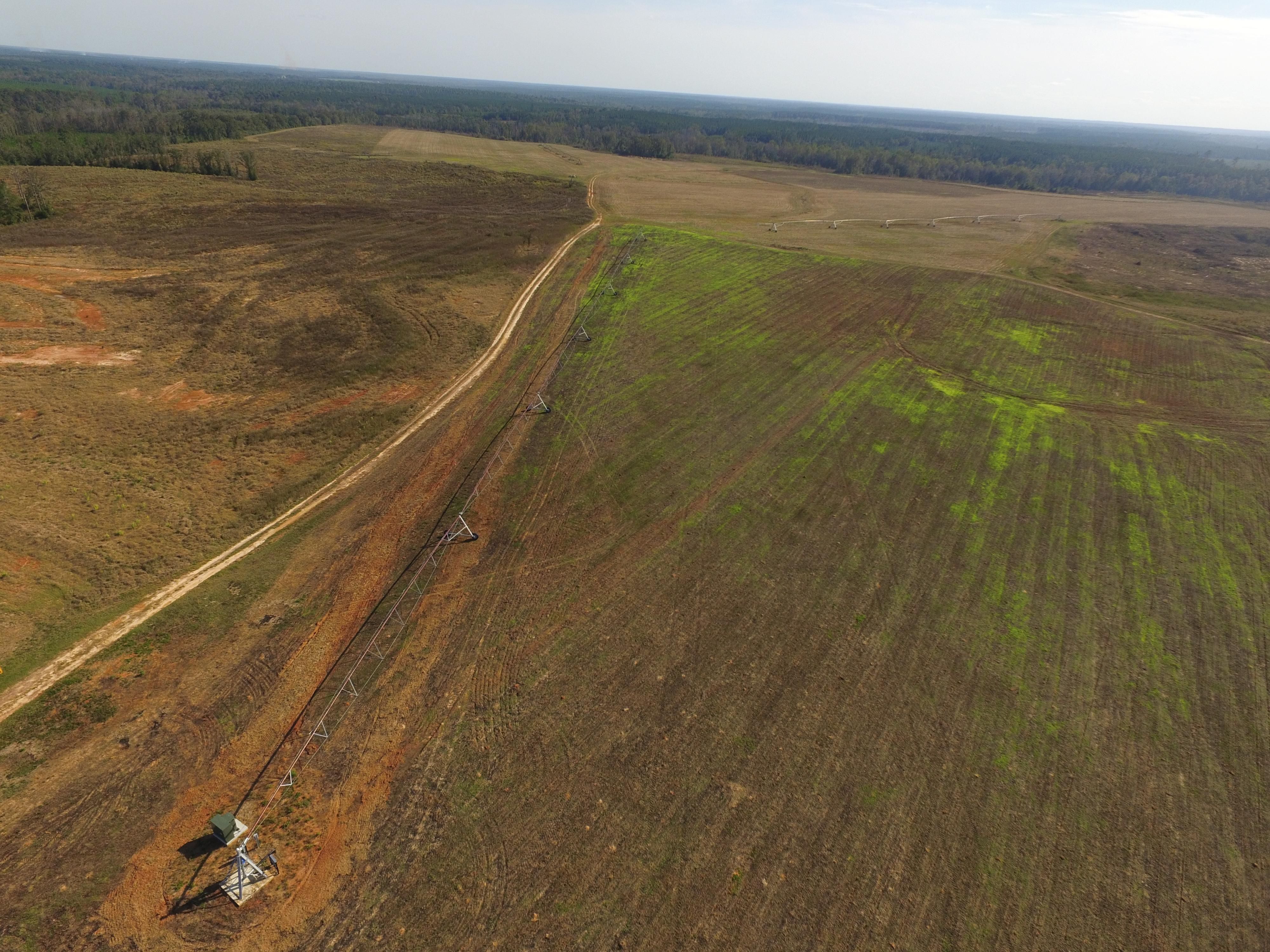 390 acres in Randolph County,