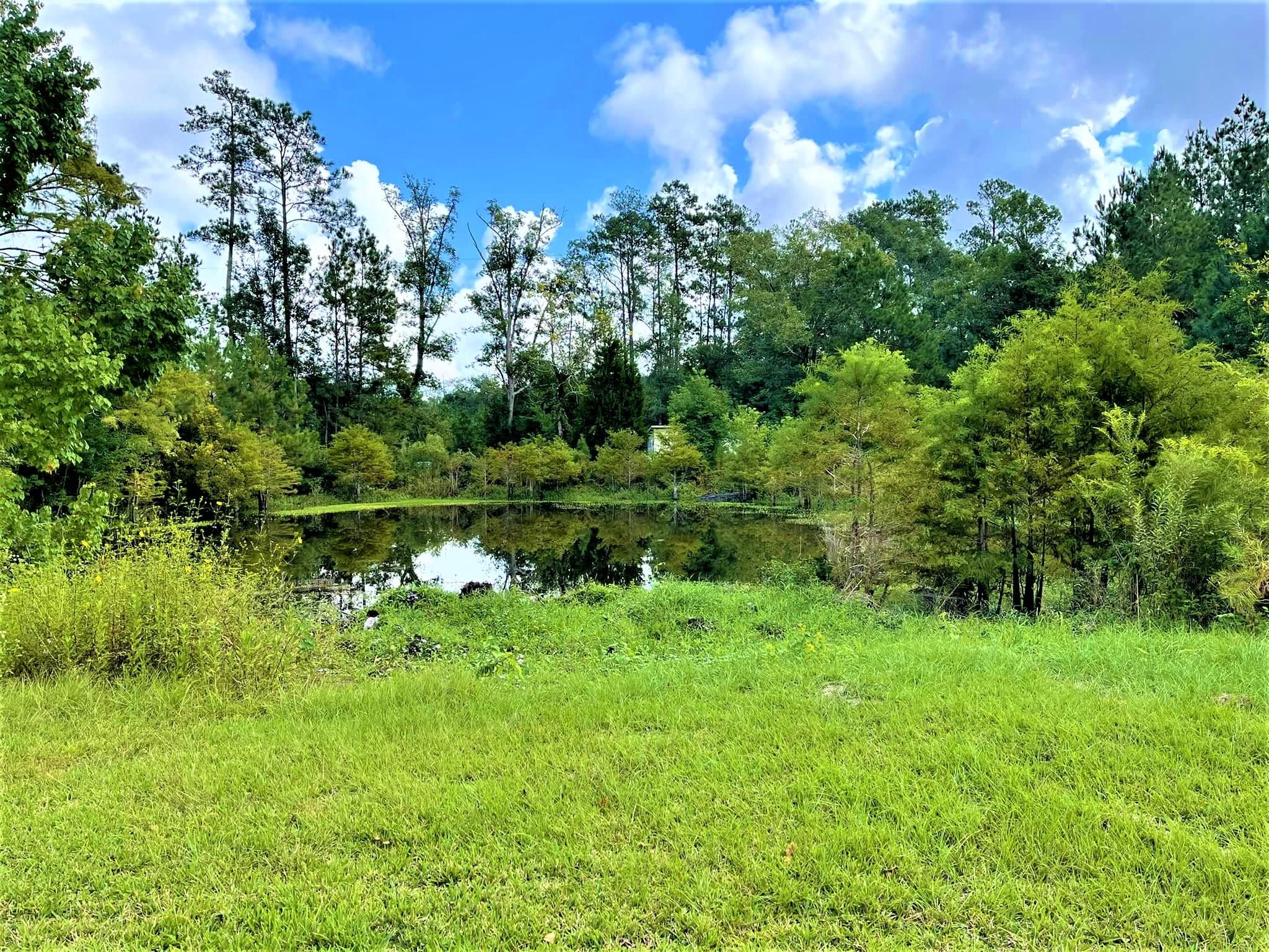 14 acres in Hardin County, Texas