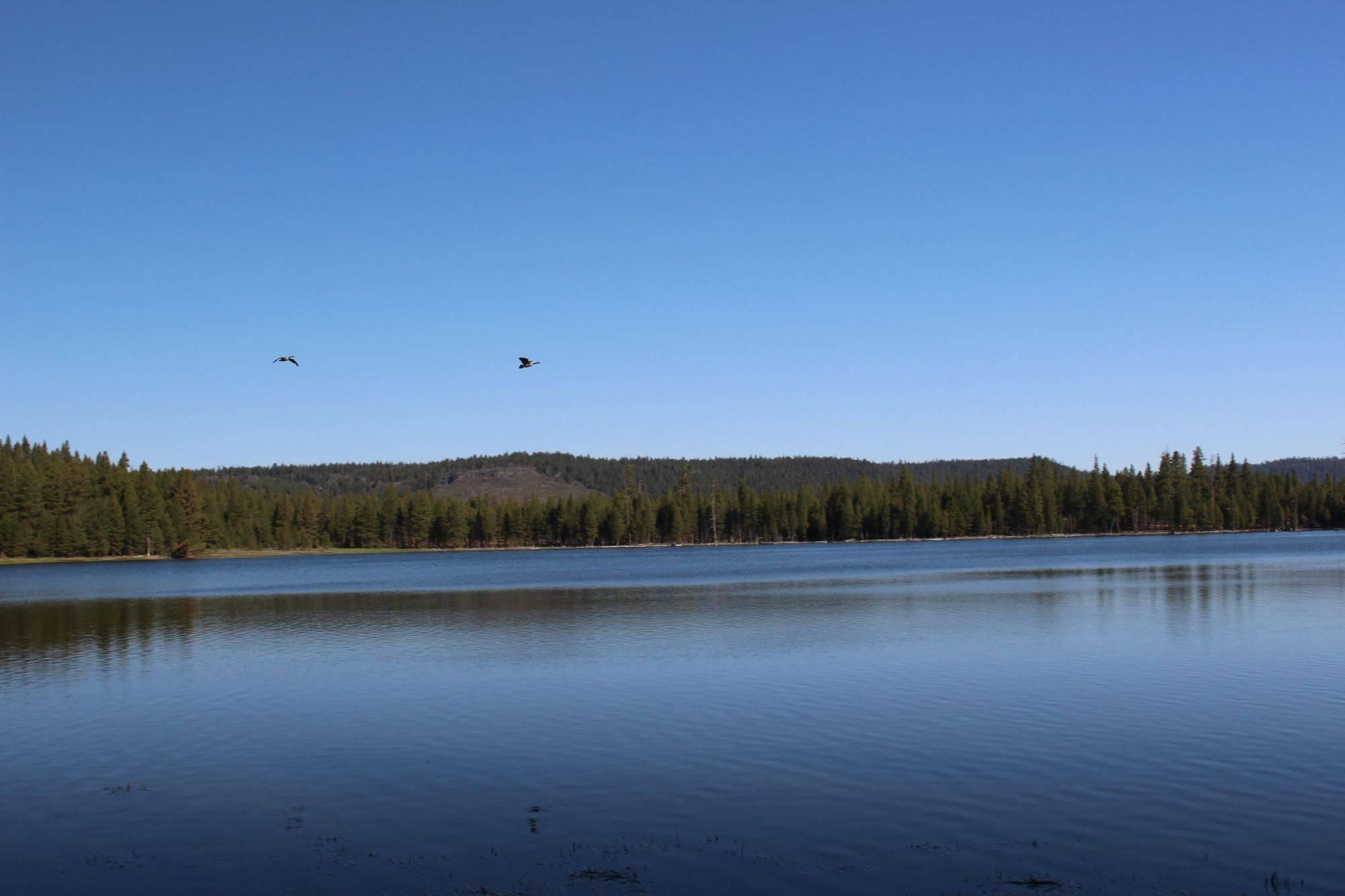 320 acres in Lake County, Oregon