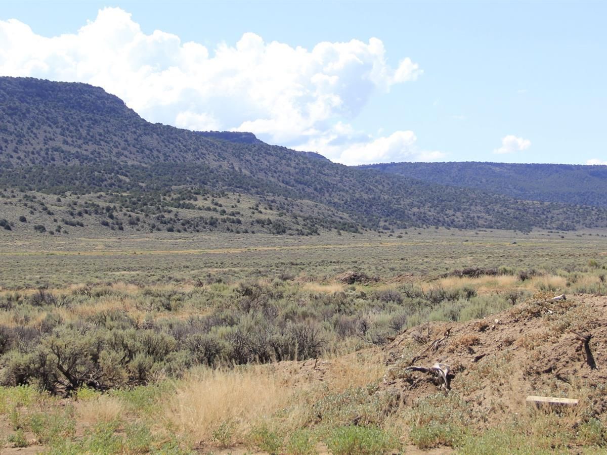 40 acres in Costilla County, Colorado