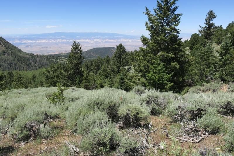 40 acres in Wayne County, Utah