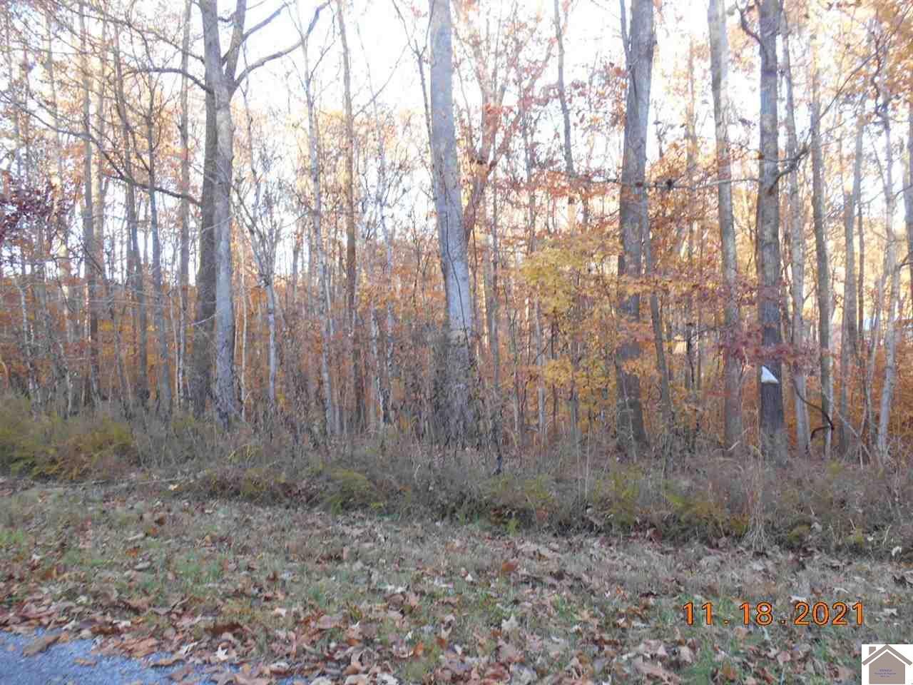 3 acres in Trigg County, Kentucky