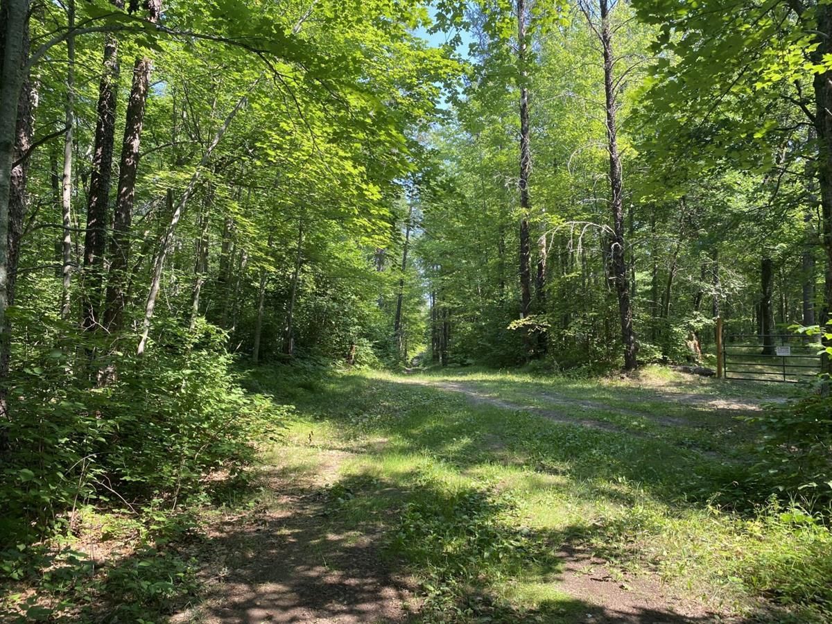 2.28 acres in Crow Wing County, Minnesota