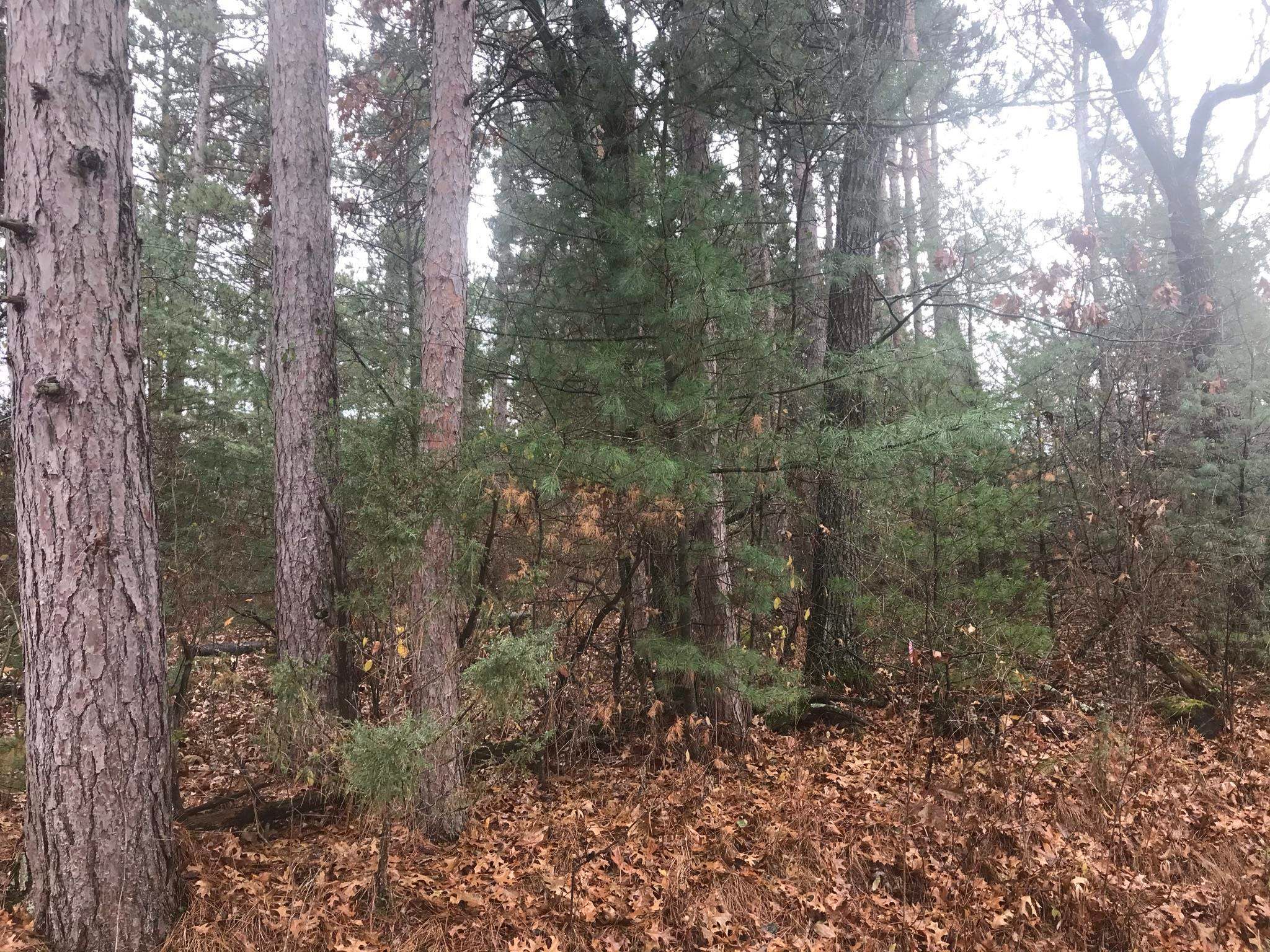 2 acres in Waushara County, Wisconsin