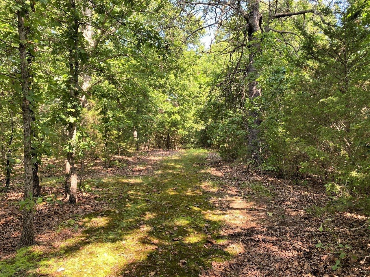 380 acres in McDonald County, Missouri