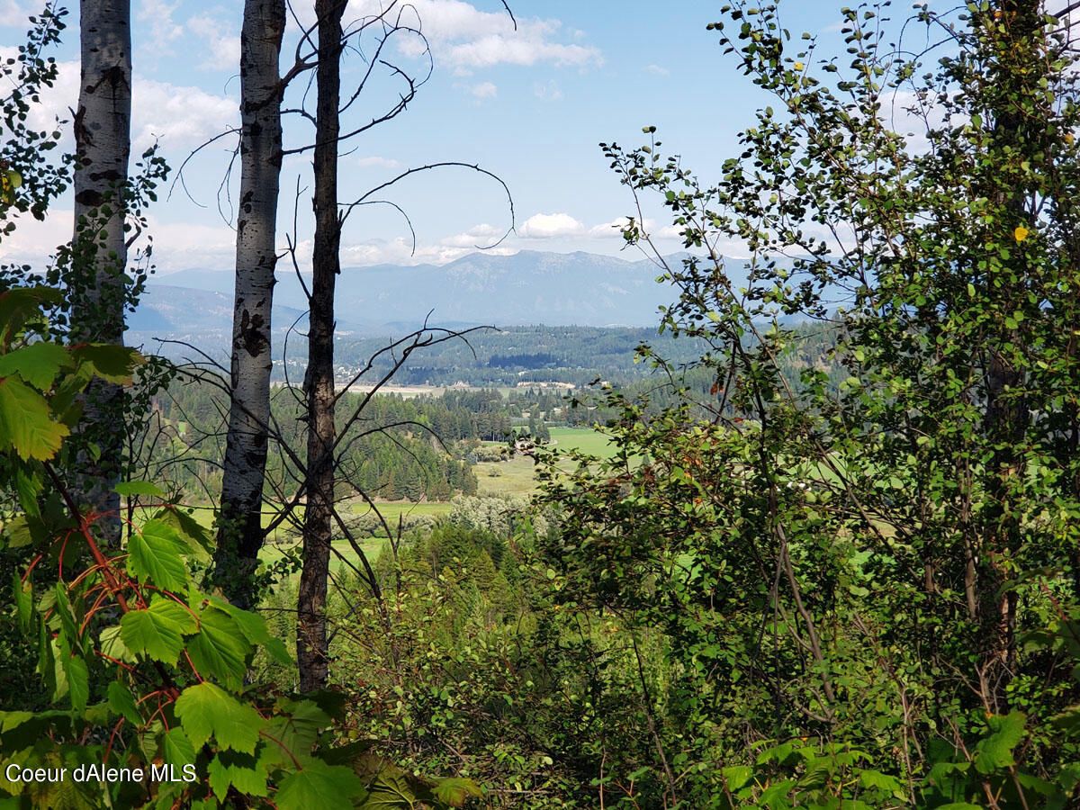 7.67 acres in Boundary County, Idaho