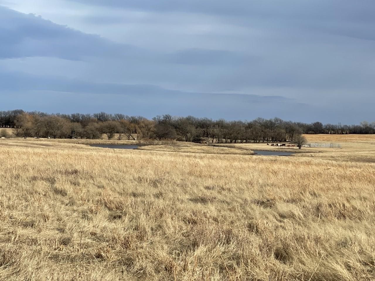 160 acres in Sumner County, Kansas