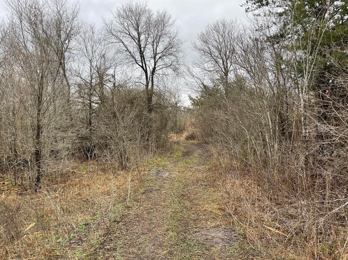 4 acres in Falls County, Texas