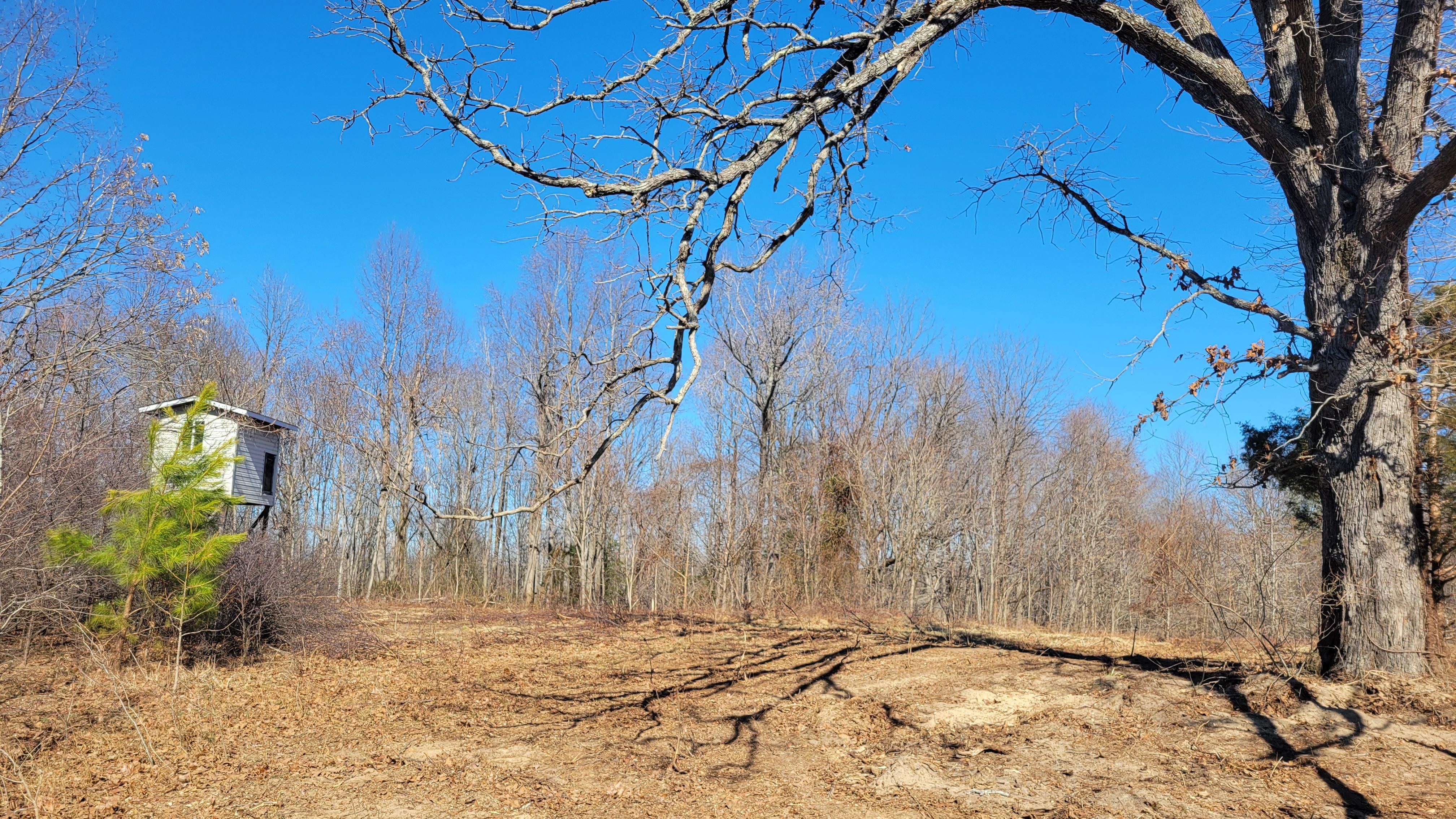 65 acres in Caroline County, Virginia