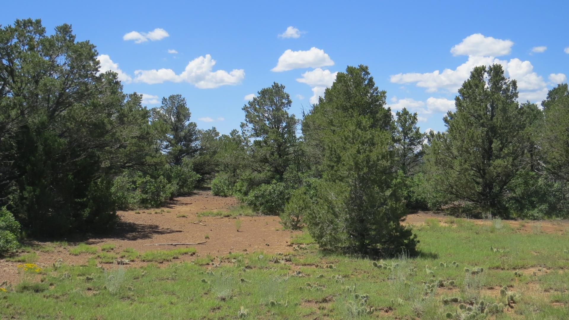 140 acres in Las Animas County, Colorado