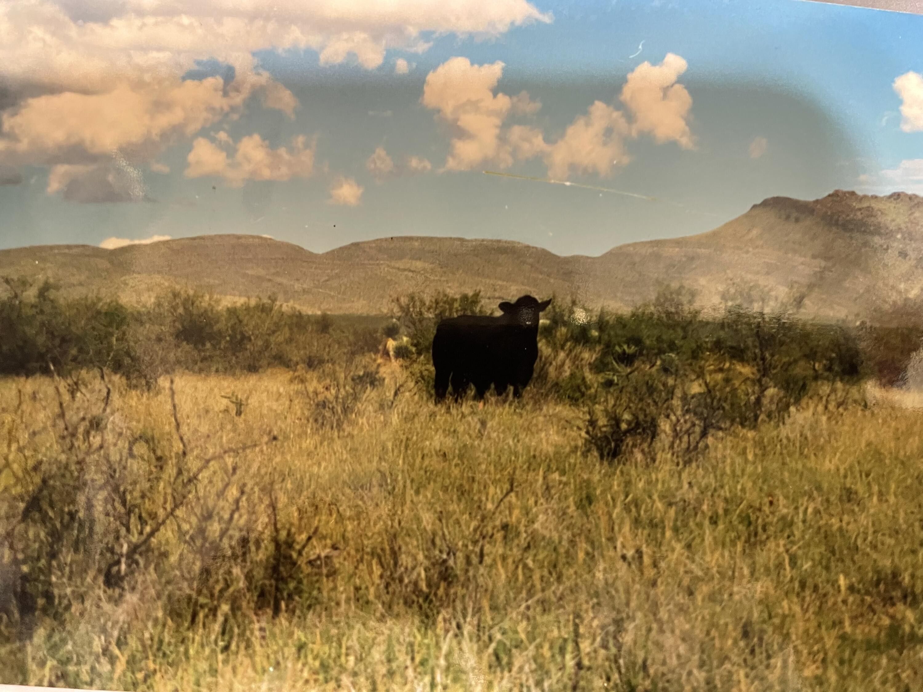 20 acres in Hudspeth County, Texas