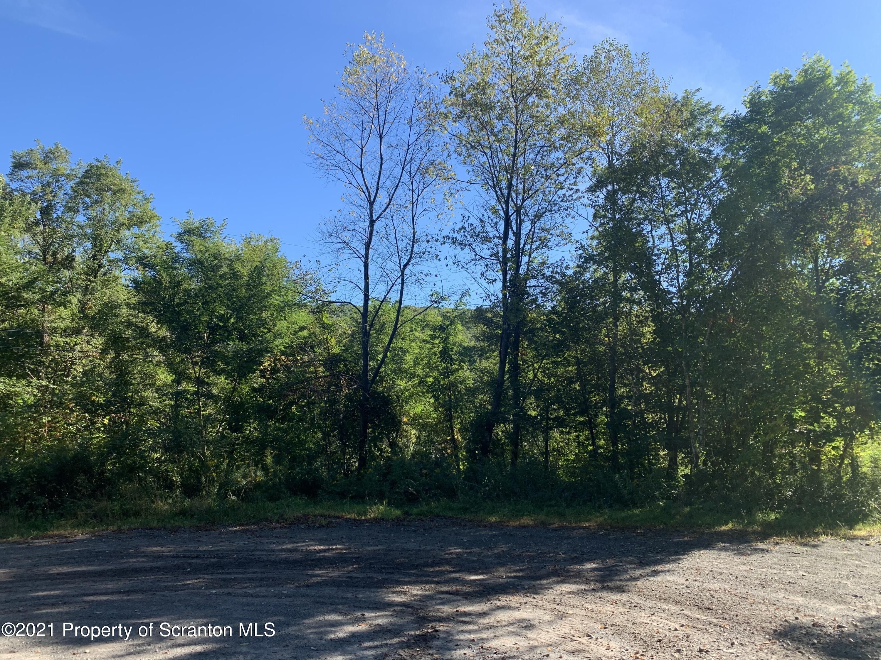 100 acres in Lackawanna County, Pennsylvania