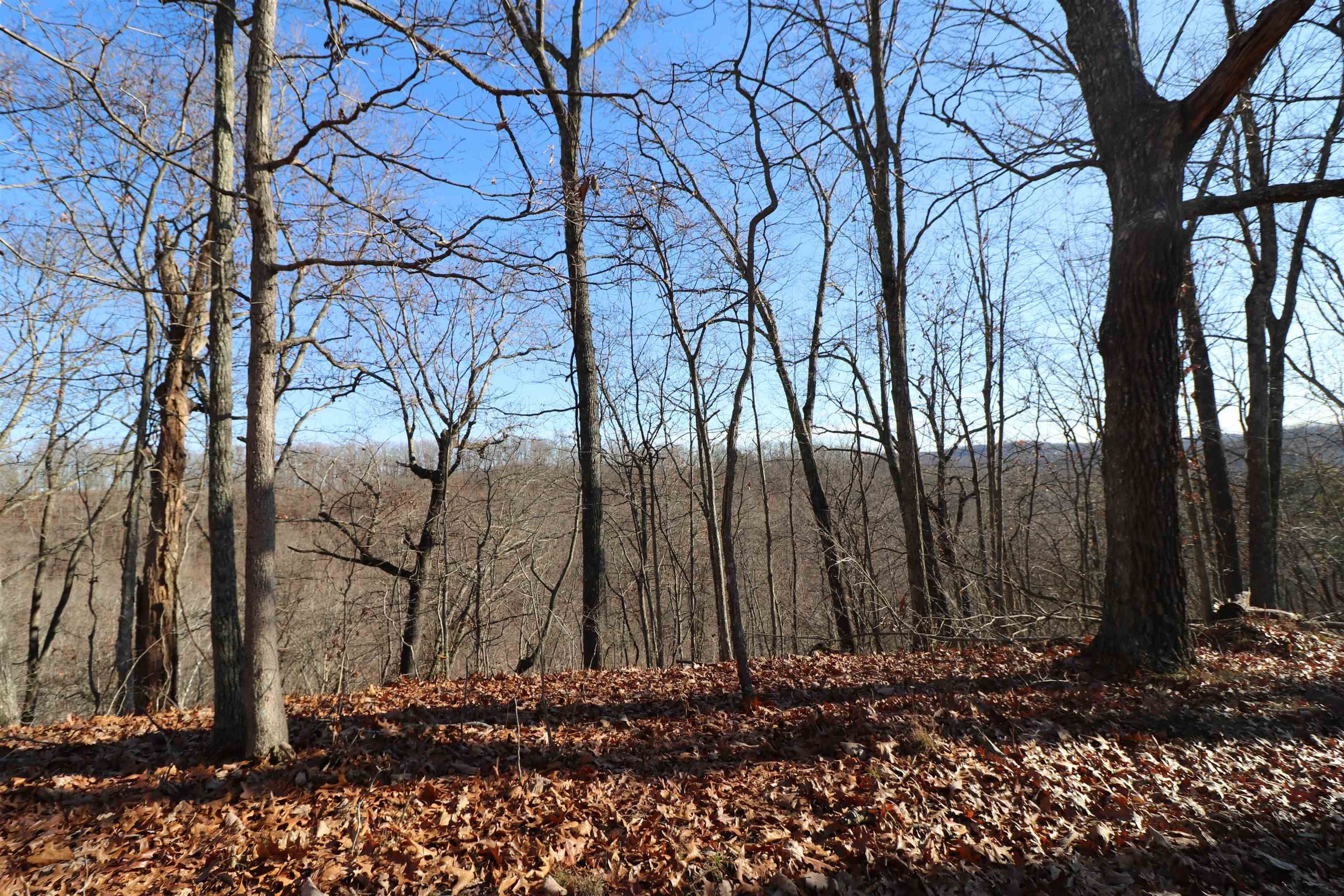 70.22 acres in Lincoln County, West Virginia