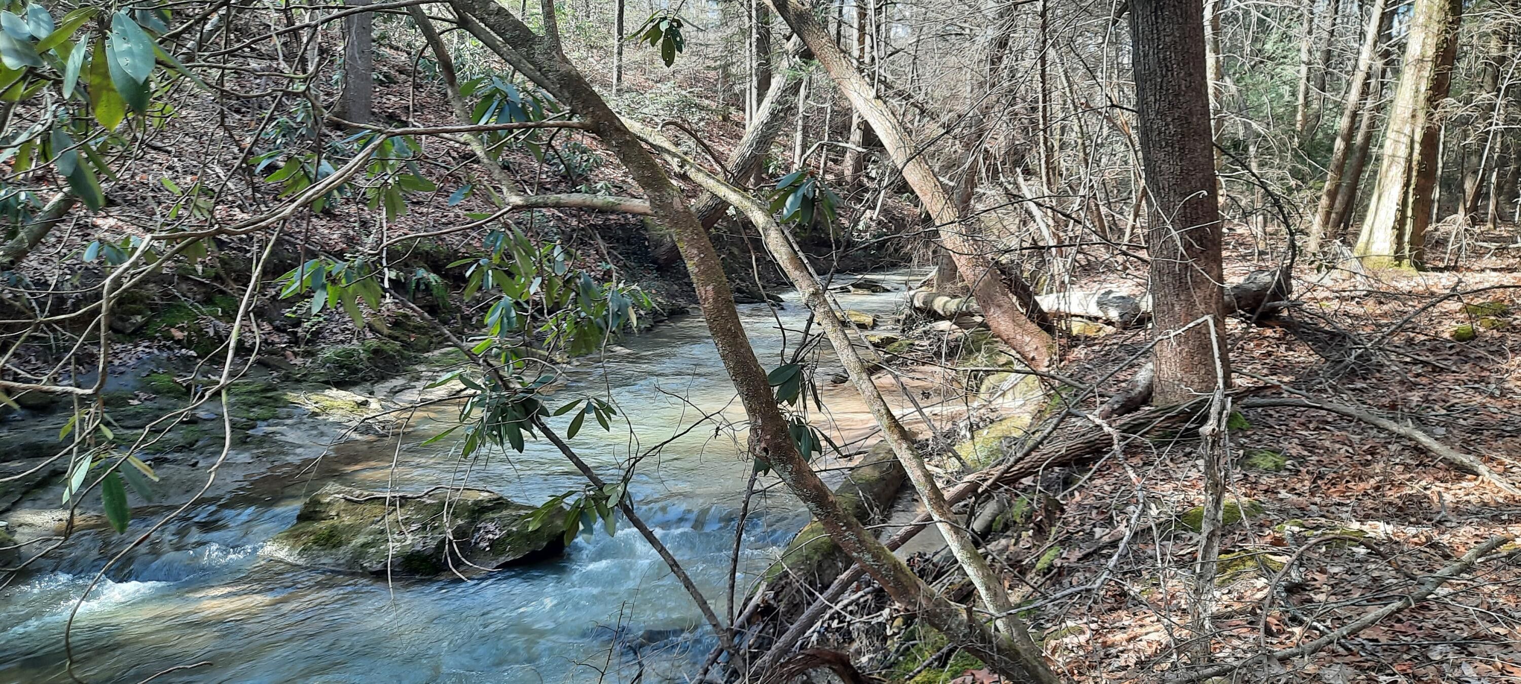 11 acres in Laurel County, Kentucky